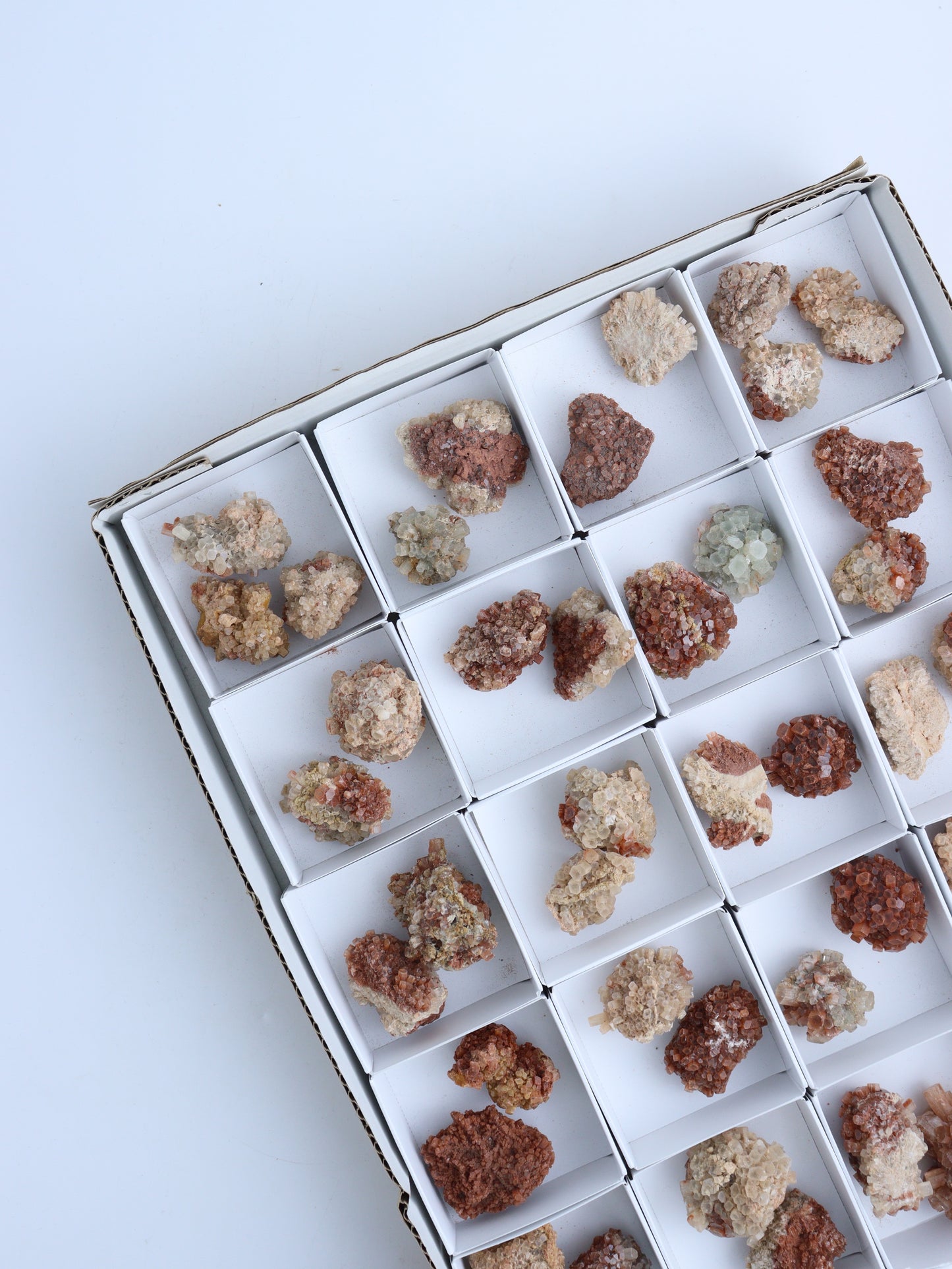 Aragonite Flat - Expert Wholesale and Supplier of Wholesale Crystals & Bulk Gemstones, ["aragonite","Clusters","Flats"]