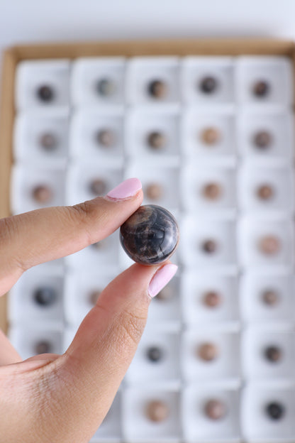 Black Moonstone Spheres - Expert Supplier of Wholesale Crystals & Bulk Gemstones