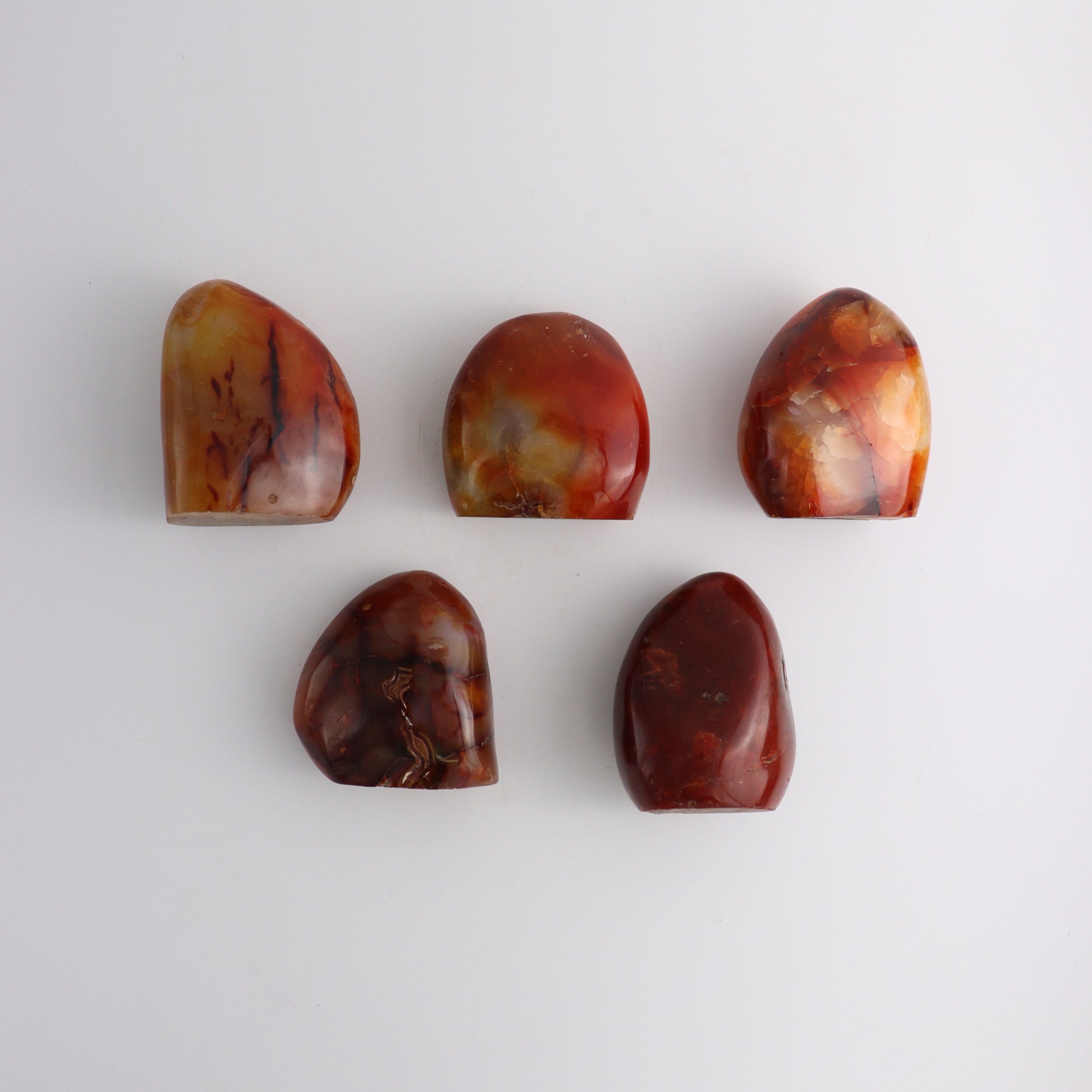 Carnelian Freeforms - Expert Supplier of Wholesale Crystals & Bulk Gemstones