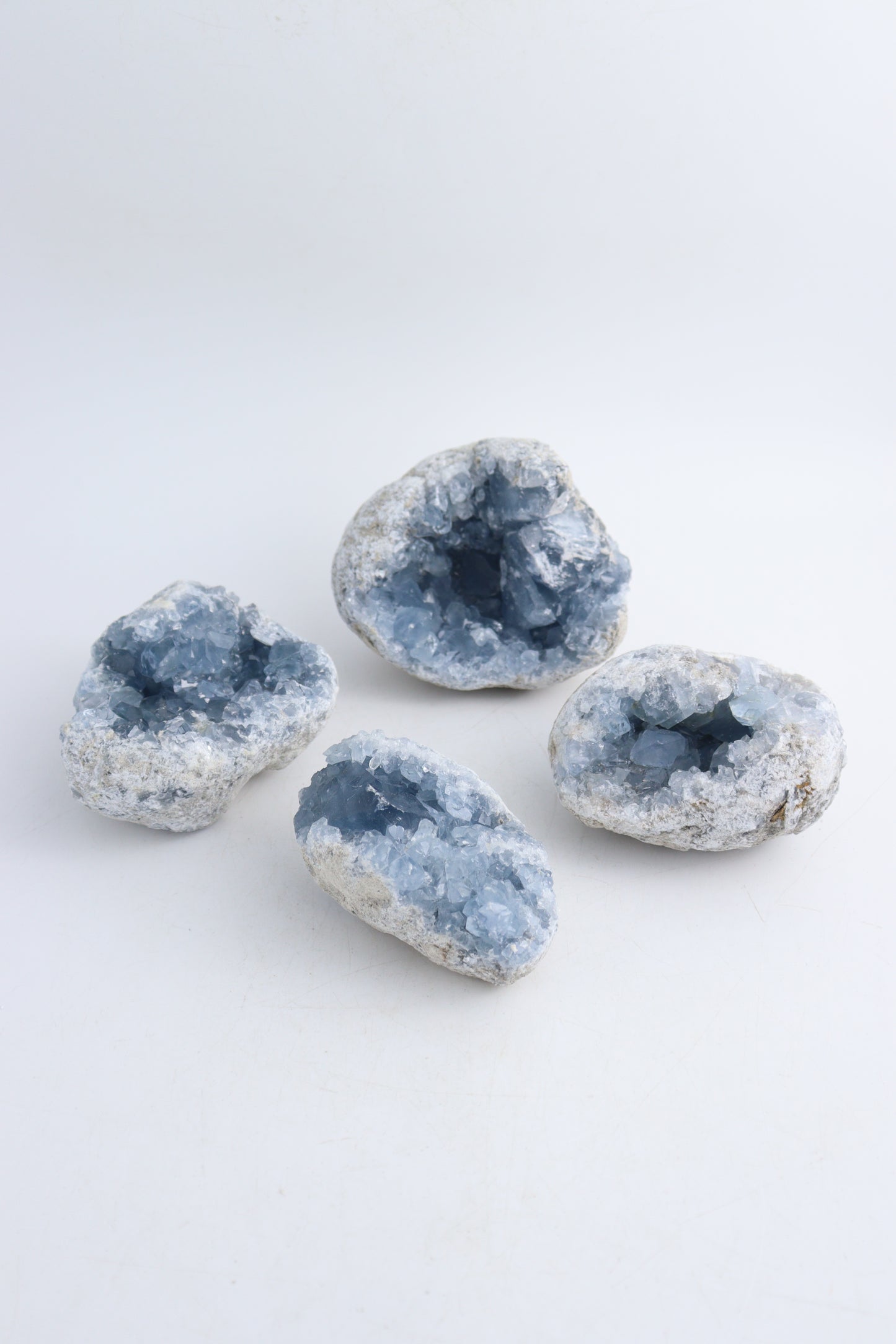 Celestite Clusters - Expert Wholesale and Supplier of Wholesale Crystals & Bulk Gemstones, ["Celestite","Rough"]