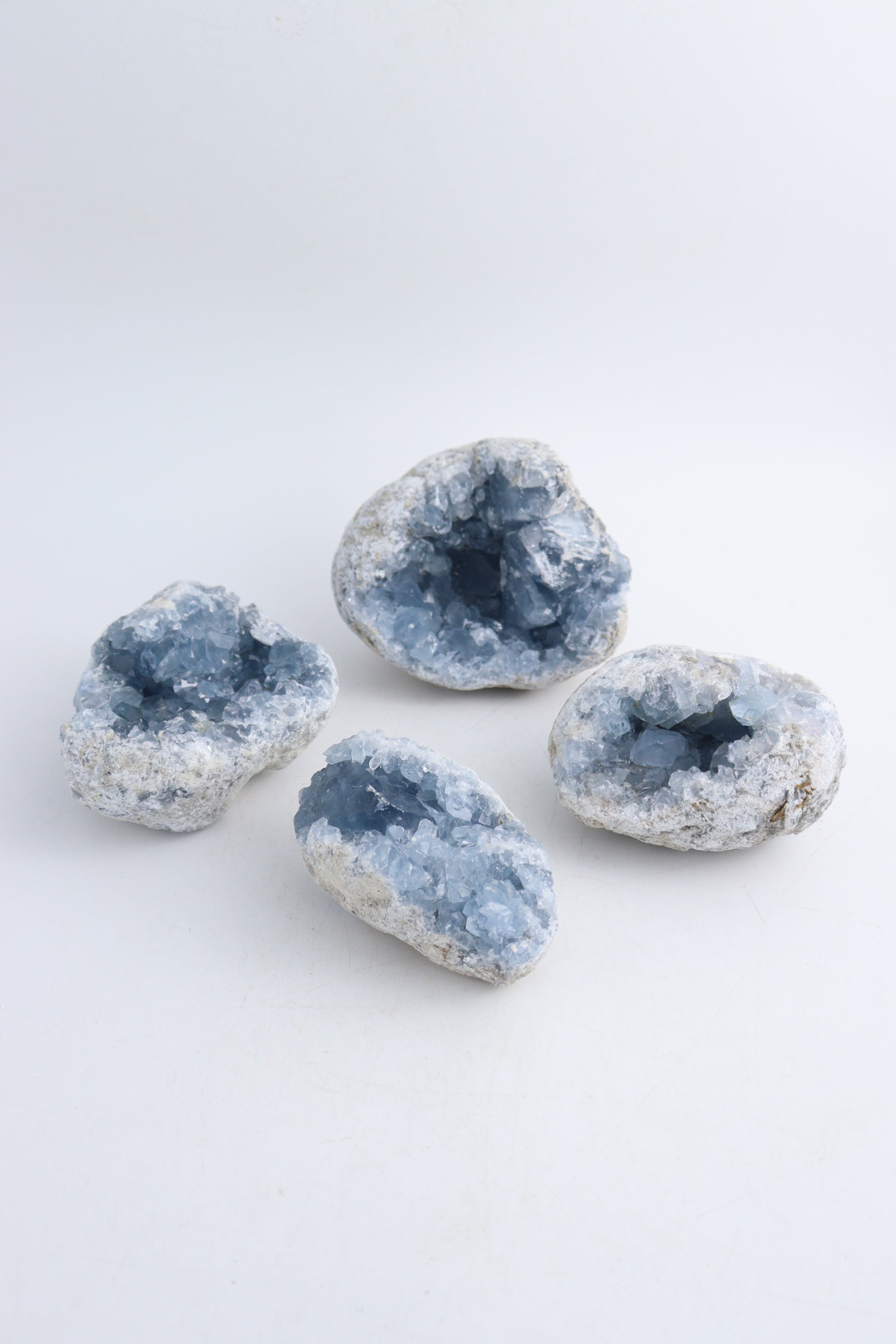 Celestite Clusters - Expert Wholesale and Supplier of Wholesale Crystals & Bulk Gemstones, ["Celestite","Rough"]