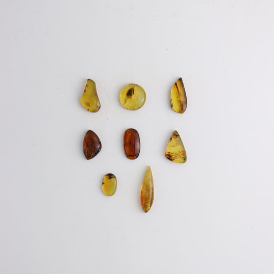 Chiapas Amber Shapes - Mi Esperanza Minerals