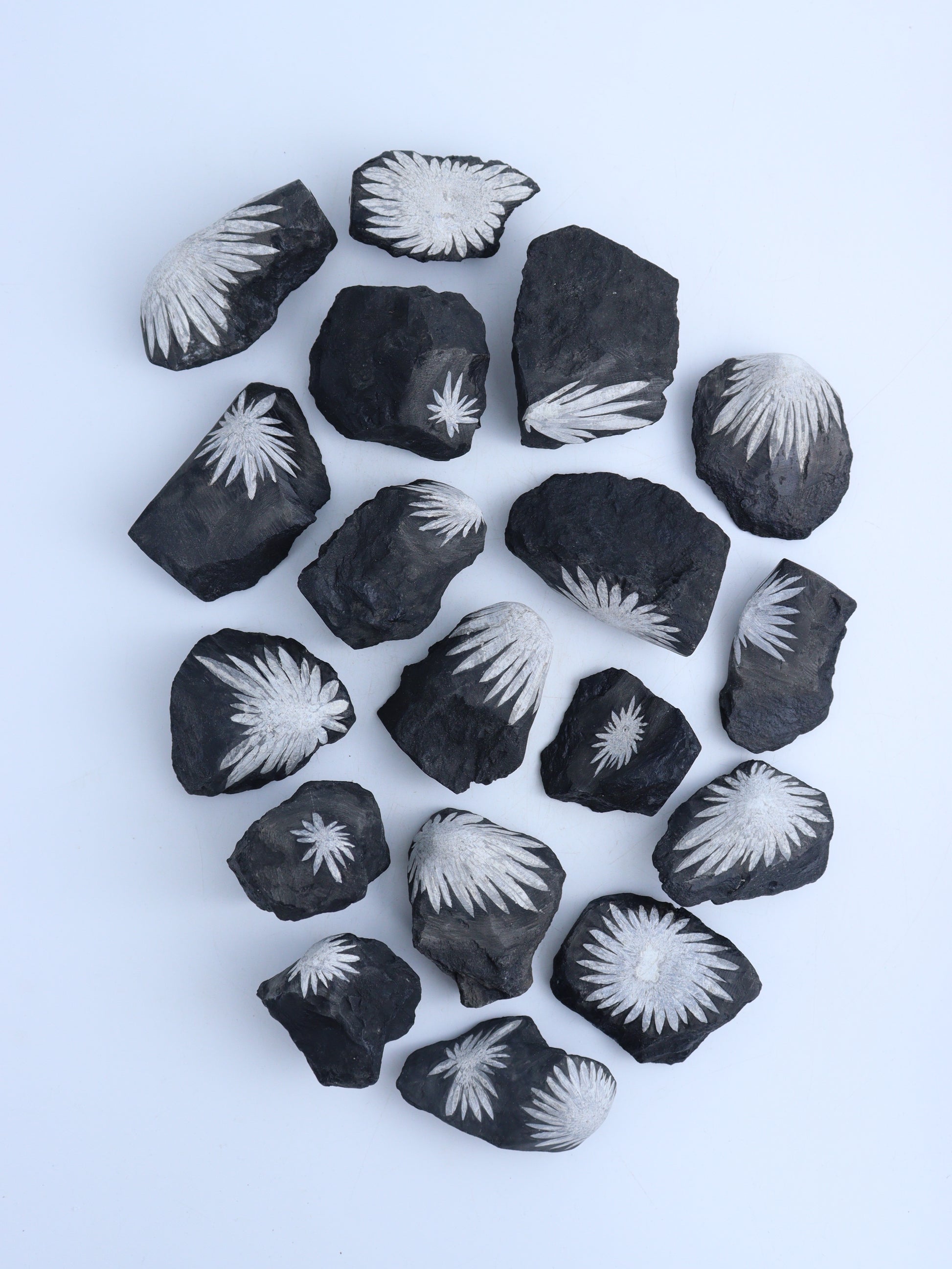 Chrysanthemum Flat - Expert Wholesale and Supplier of Wholesale Crystals & Bulk Gemstones, ["Chrysanthemum","Flats"]