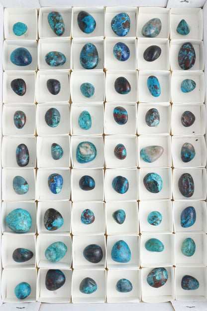 Chrysocolla Tumbles