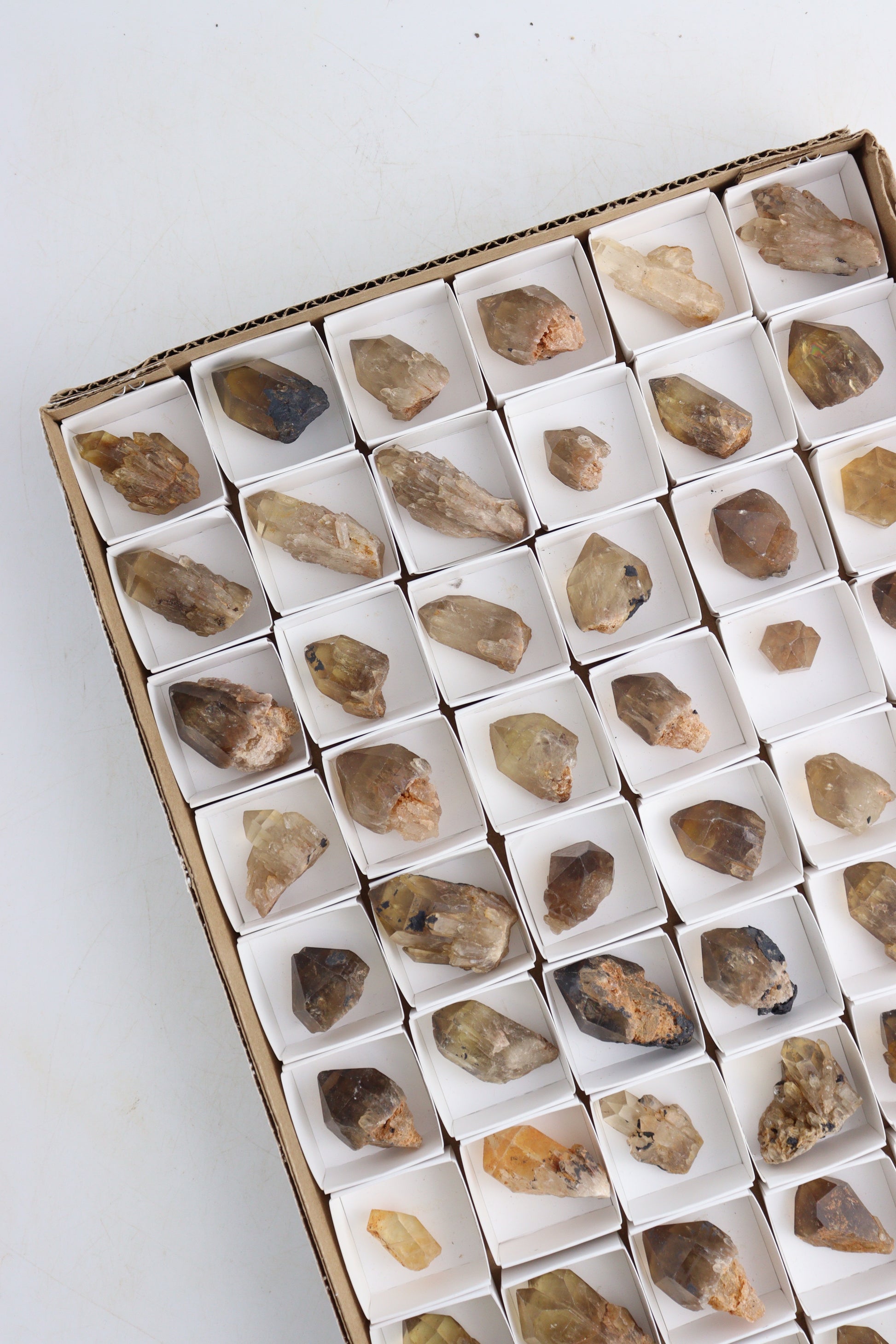 Congo Citrine Flat - Expert Supplier of Wholesale Crystals & Bulk Gemstones