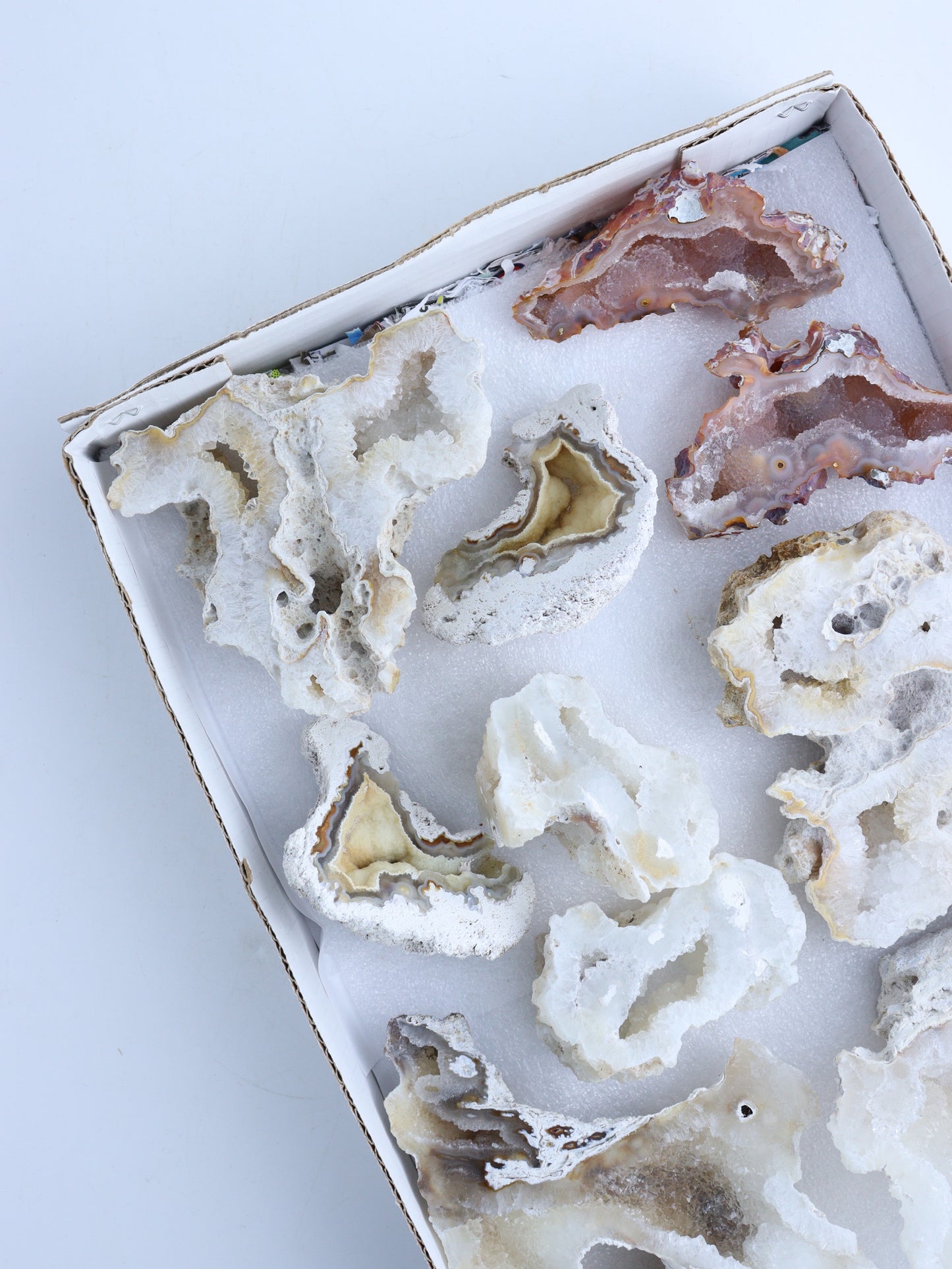 Coral Flat - Expert Wholesale and Supplier of Wholesale Crystals & Bulk Gemstones, ["Clusters","Coral","Flats"]