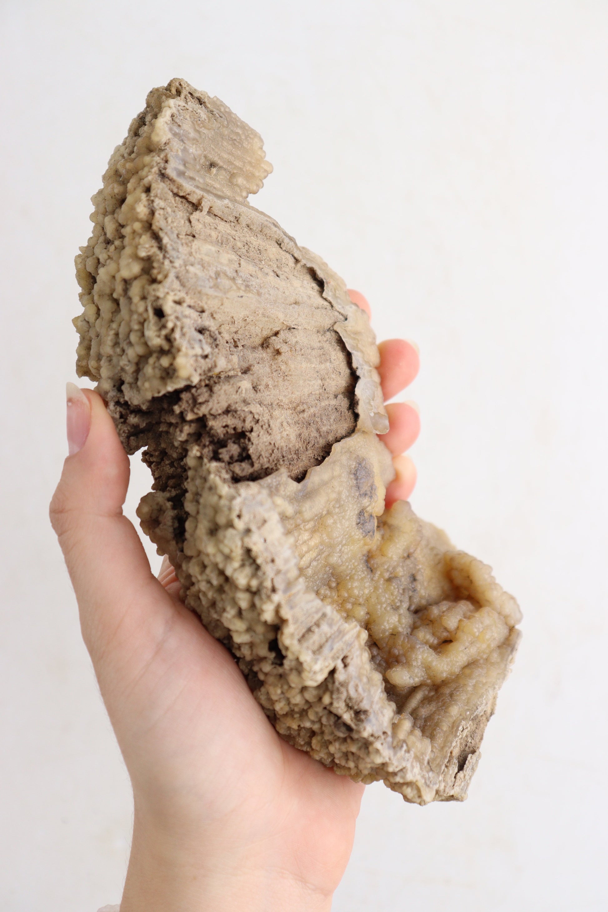 Coral With Agate Flat - Expert Supplier of Wholesale Crystals & Bulk Gemstones