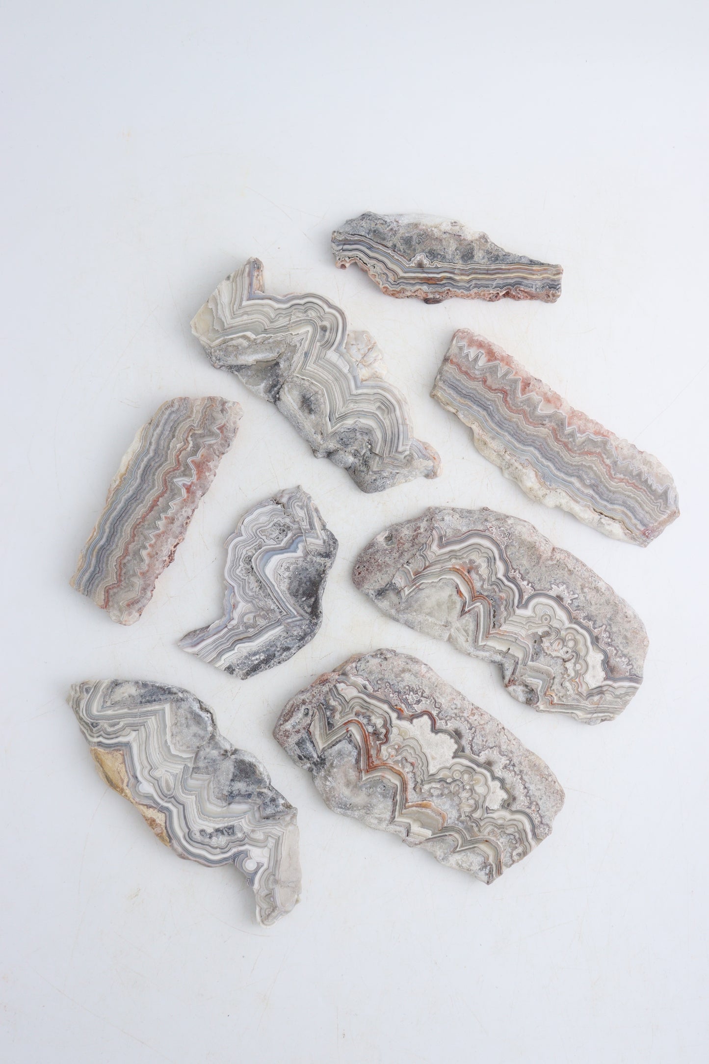Crazy Lace Agate Slices - Expert Supplier of Wholesale Crystals & Bulk Gemstones