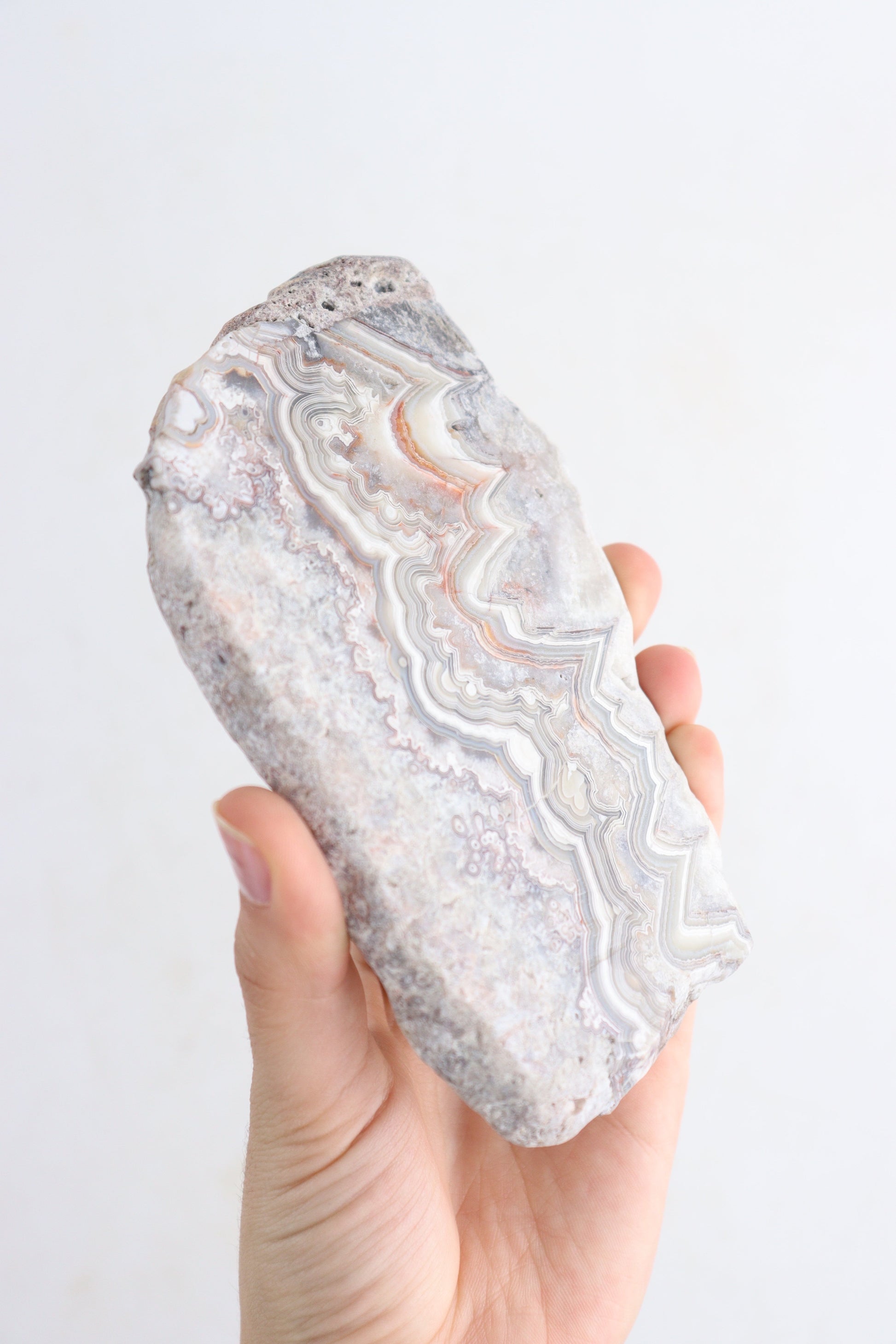 Crazy Lace Agate Slices - Expert Supplier of Wholesale Crystals & Bulk Gemstones