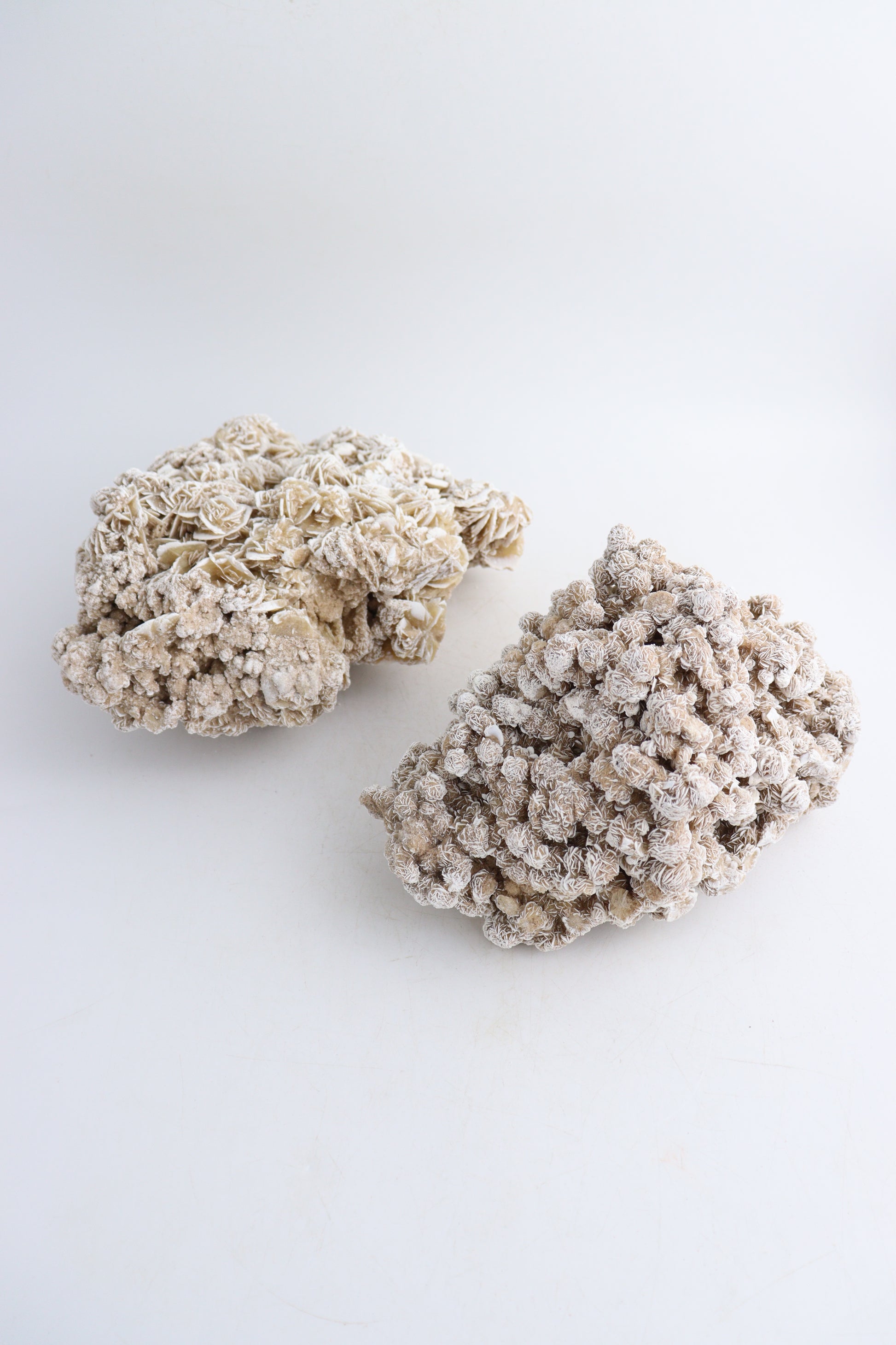 Desert Rose Clusters - Expert Wholesale and Supplier of Wholesale Crystals & Bulk Gemstones, ["Clusters","Desert Rose"]