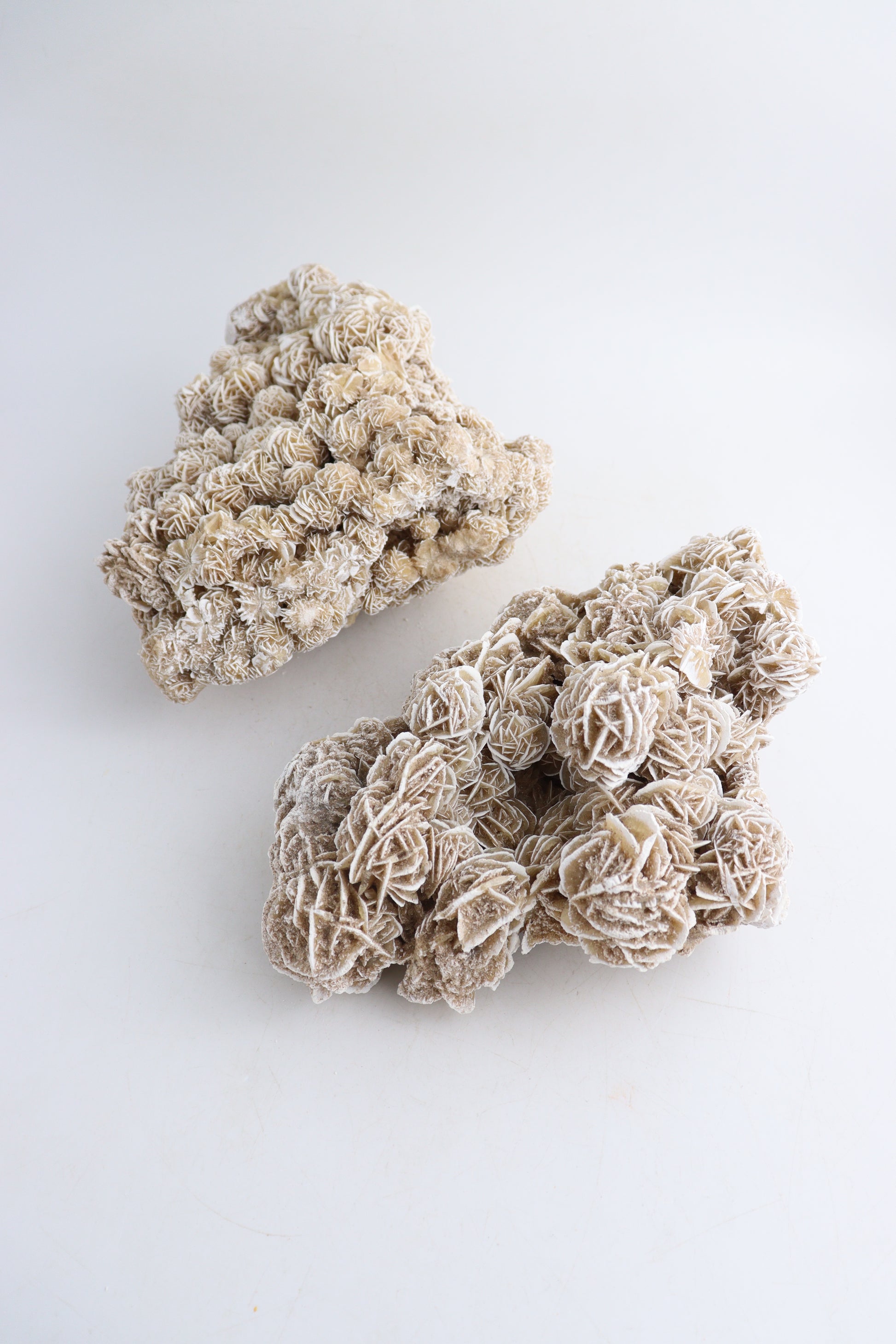 Desert Rose Clusters - Expert Wholesale and Supplier of Wholesale Crystals & Bulk Gemstones, ["Clusters","Desert Rose"]