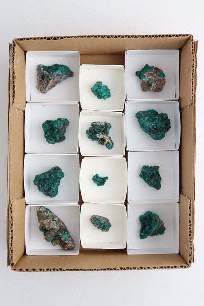 Dioptase Cluster Flat