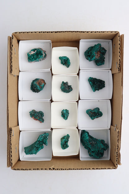 Dioptase Cluster Flat