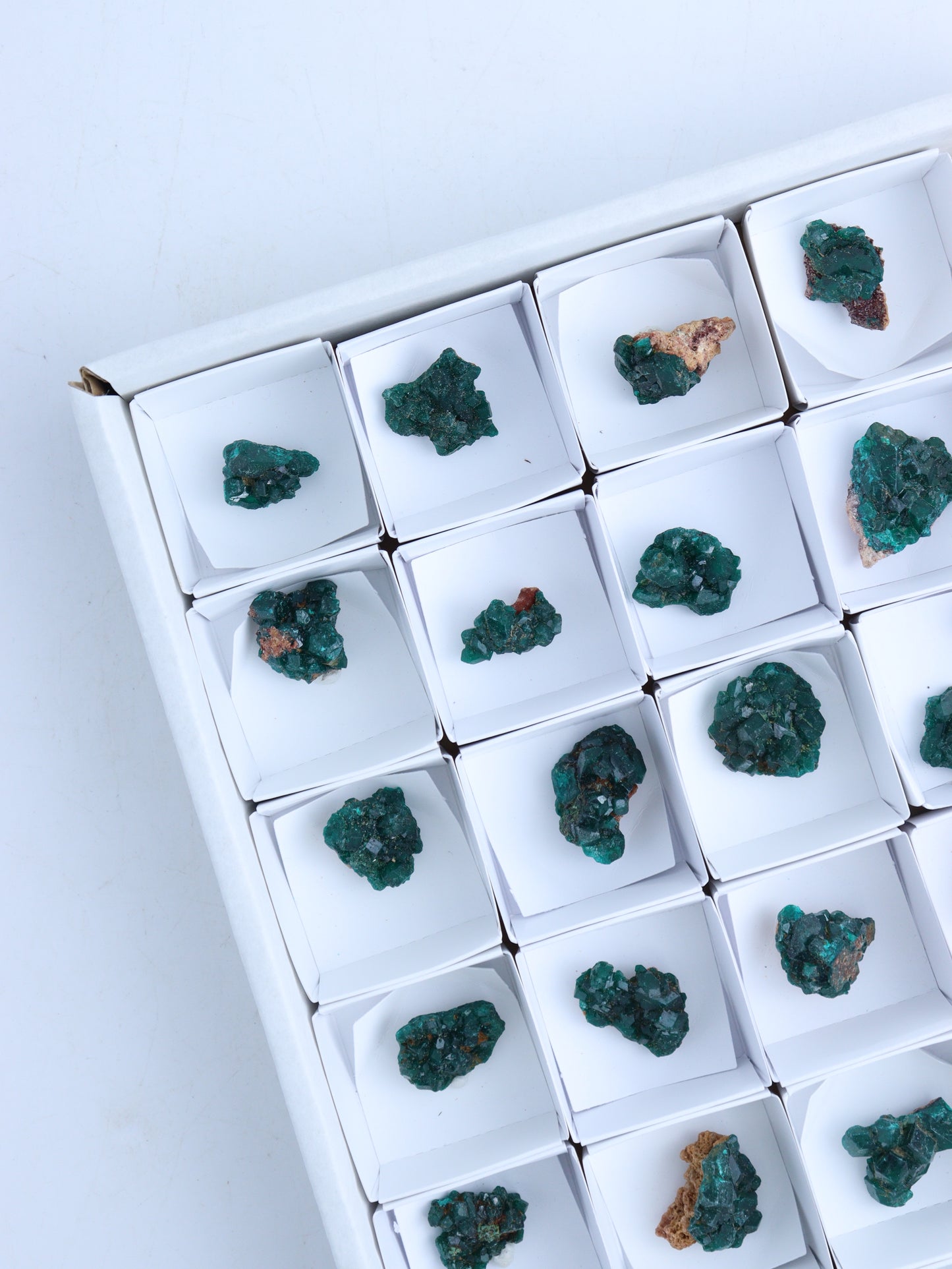 Dioptase Flat - Expert Wholesale and Supplier of Wholesale Crystals & Bulk Gemstones, ["Clusters","dioptase","Flats"]