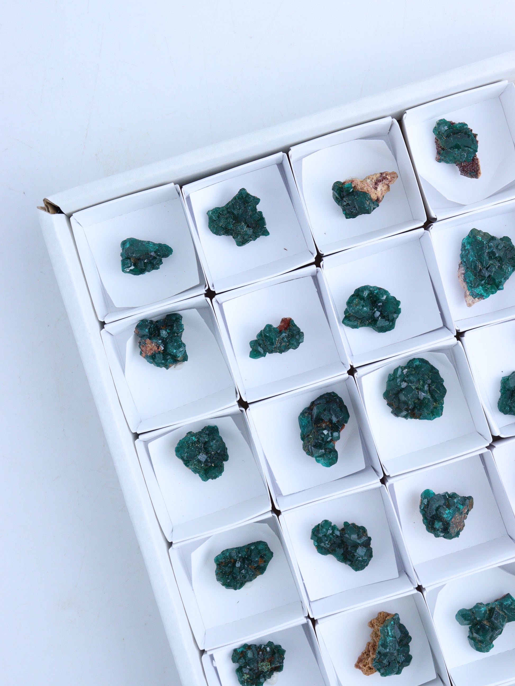 Dioptase Flat - Expert Wholesale and Supplier of Wholesale Crystals & Bulk Gemstones, ["Clusters","dioptase","Flats"]