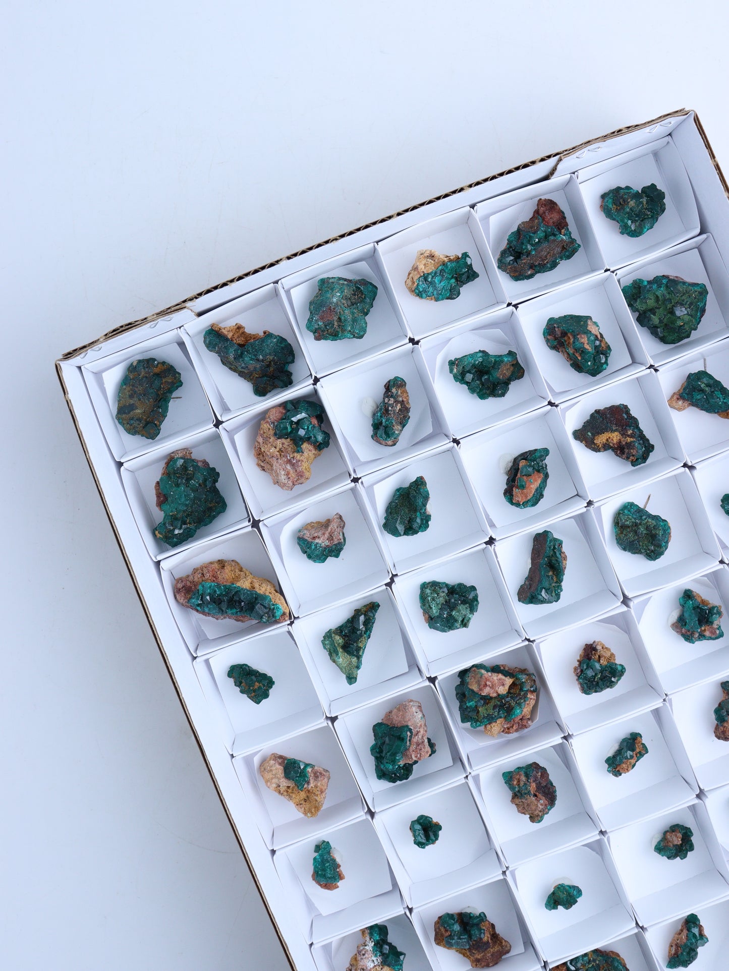 Dioptase Flat - Expert Wholesale and Supplier of Wholesale Crystals & Bulk Gemstones, ["Clusters","dioptase","Flats"]