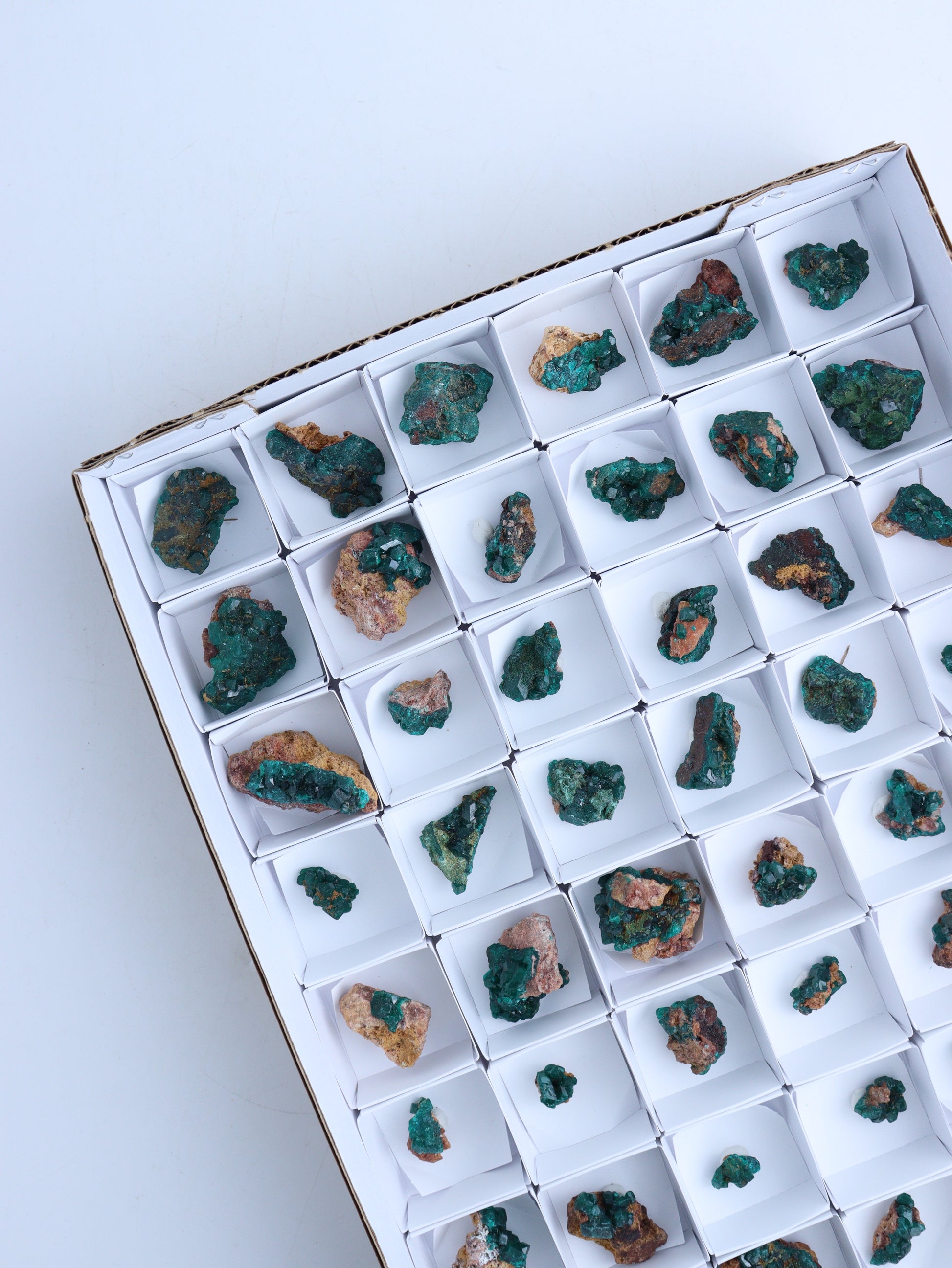 Dioptase Flat - Expert Wholesale and Supplier of Wholesale Crystals & Bulk Gemstones, ["Clusters","dioptase","Flats"]