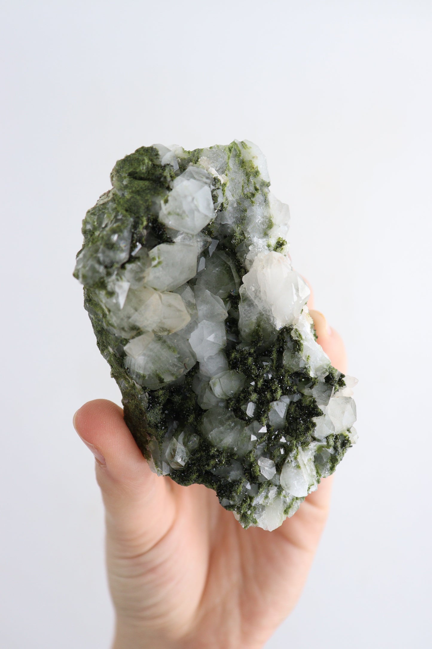 Epidote Cluster Flat