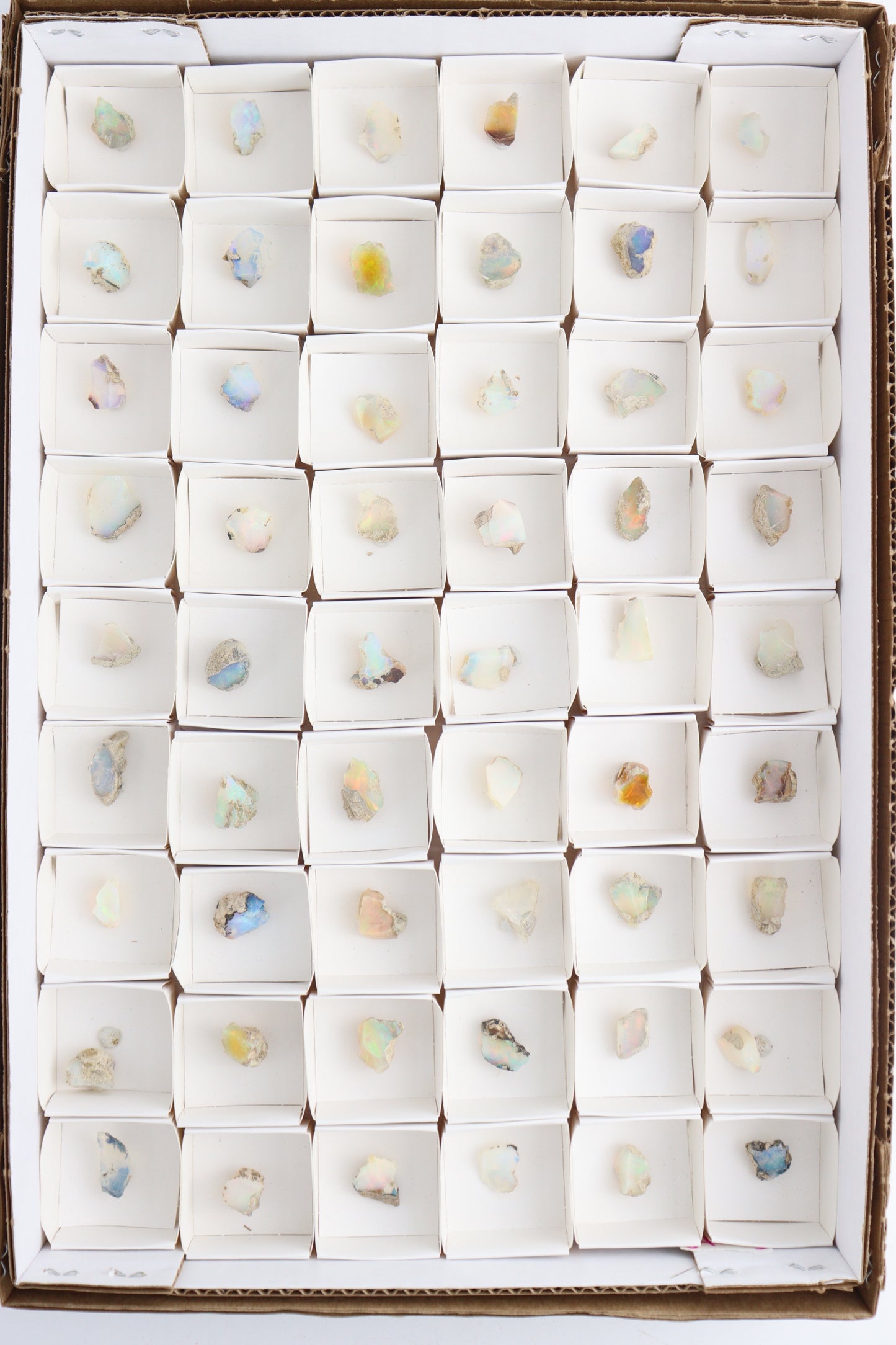 Ethiopian Opal Flat - Expert Wholesale and Supplier of Wholesale Crystals & Bulk Gemstones, ["ethiopian opal","Flats"]