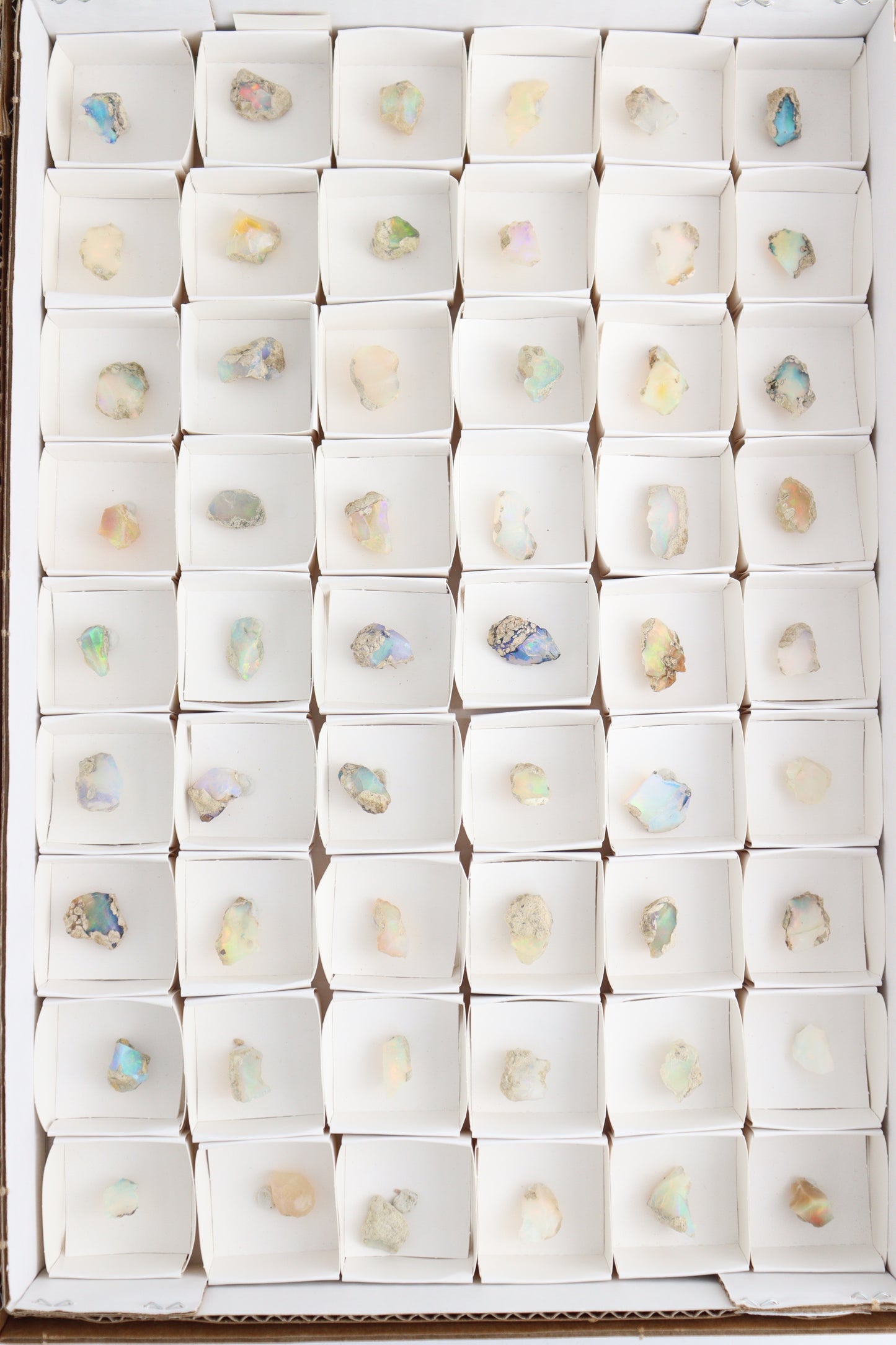 Ethiopian Opal Flat - Expert Wholesale and Supplier of Wholesale Crystals & Bulk Gemstones, ["ethiopian opal","Flats"]