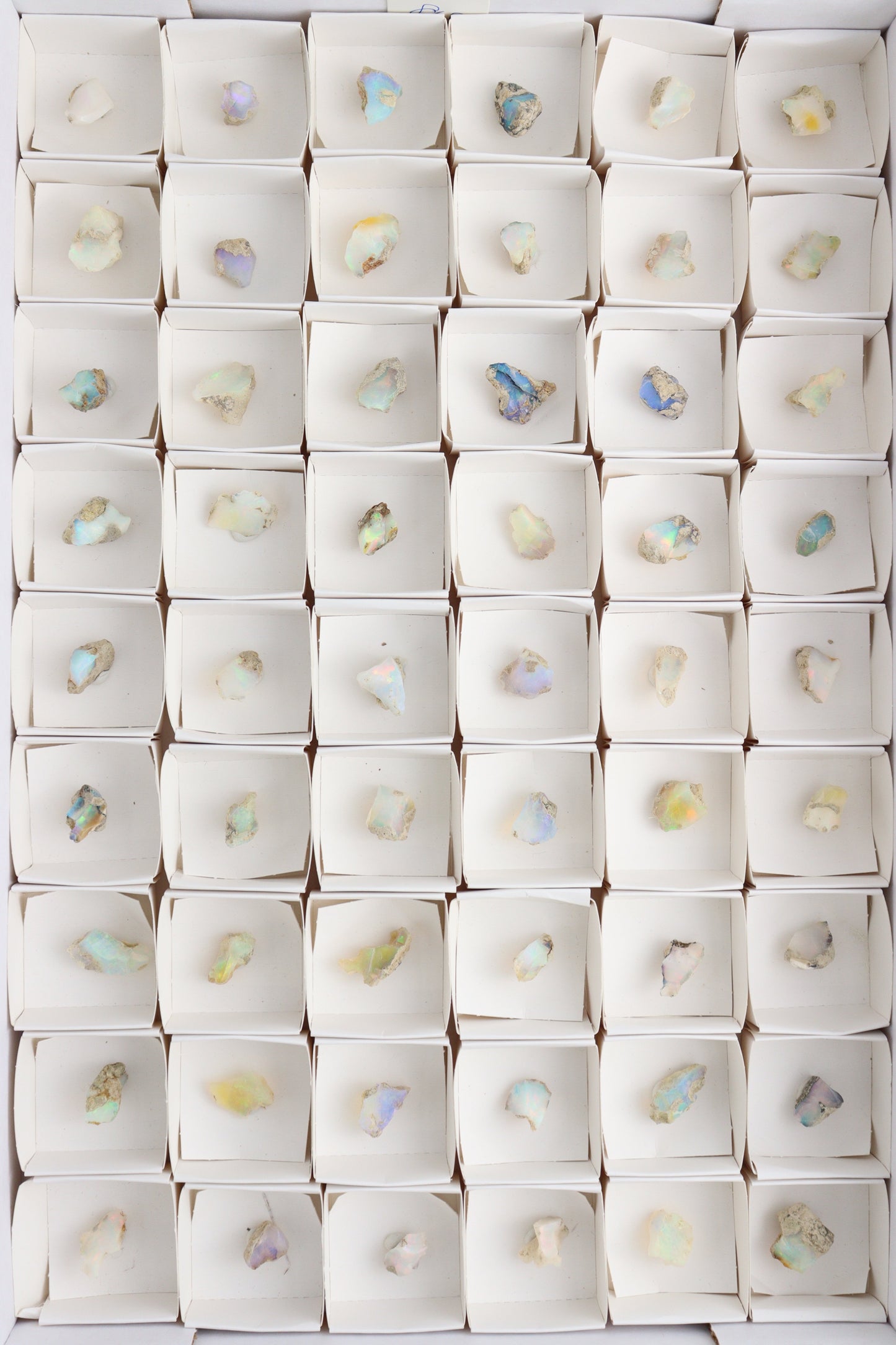Ethiopian Opal Flat - Expert Supplier of Wholesale Crystals & Bulk Gemstones