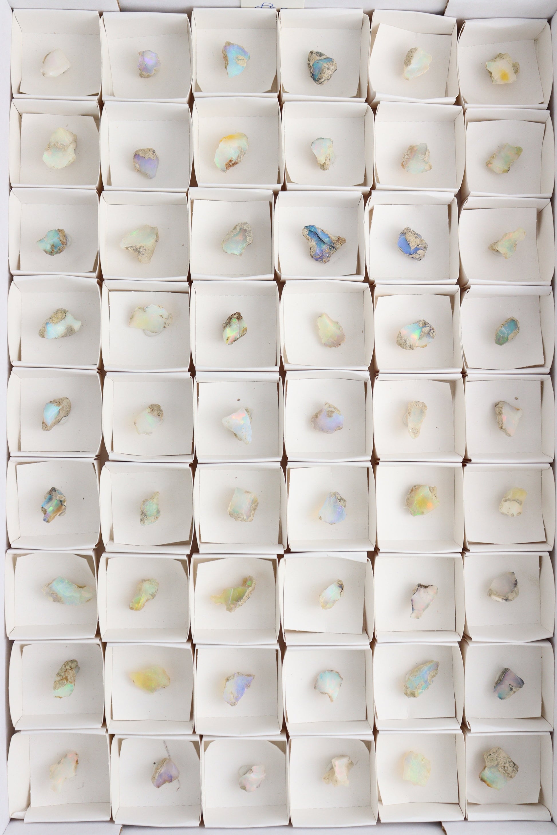 Ethiopian Opal Flat - Expert Supplier of Wholesale Crystals & Bulk Gemstones