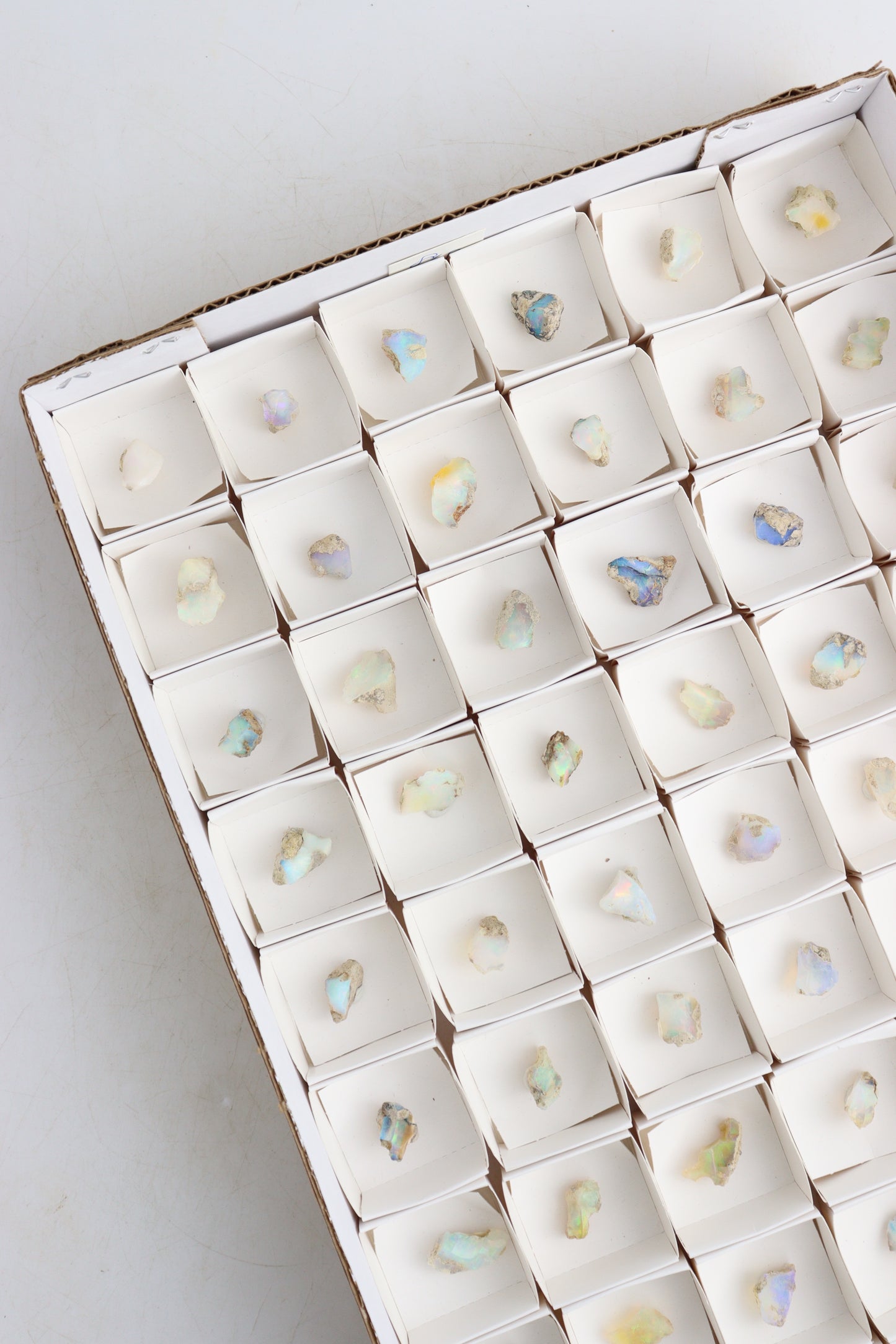 Ethiopian Opal Flat - Expert Supplier of Wholesale Crystals & Bulk Gemstones