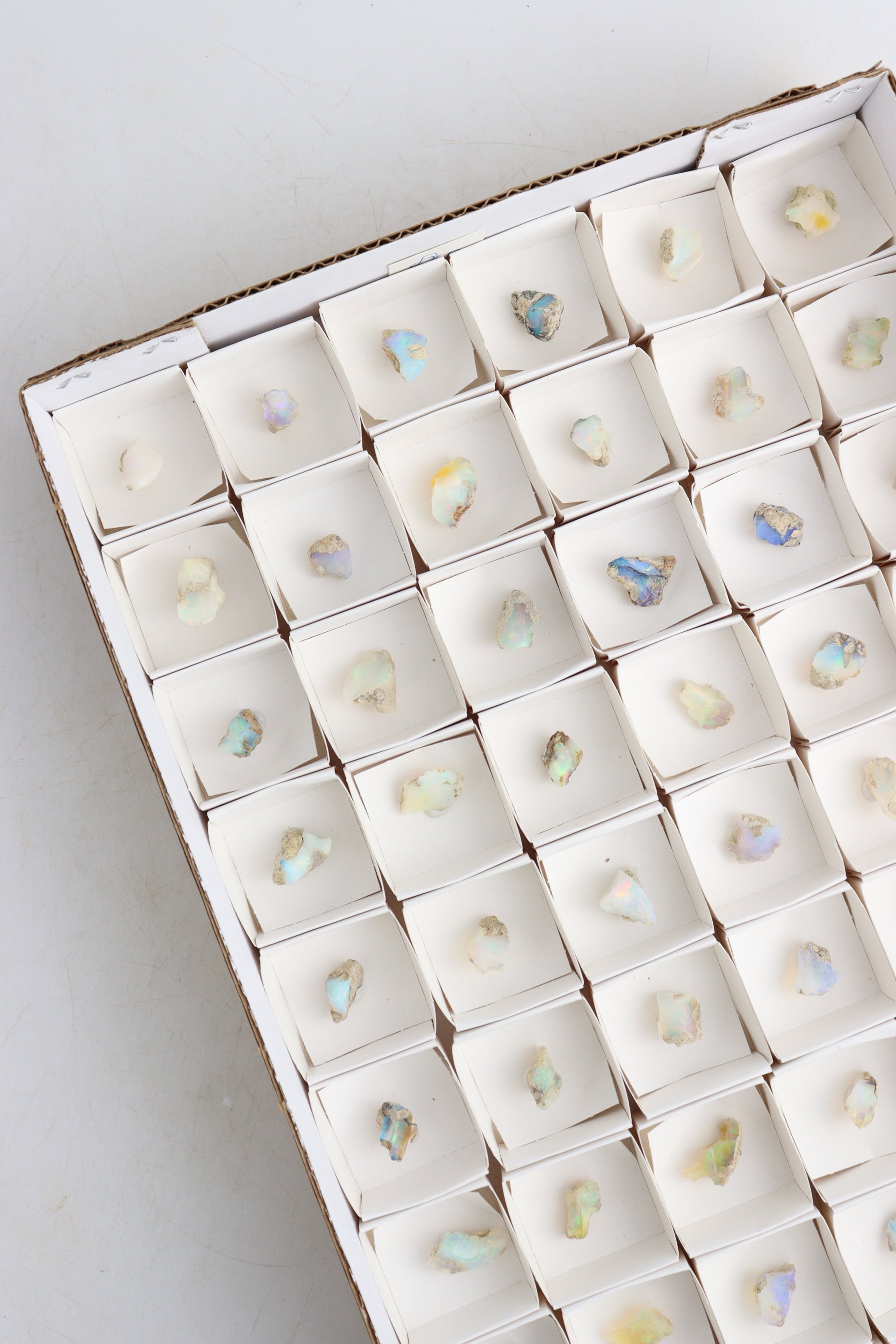 Ethiopian Opal Flat - Expert Supplier of Wholesale Crystals & Bulk Gemstones