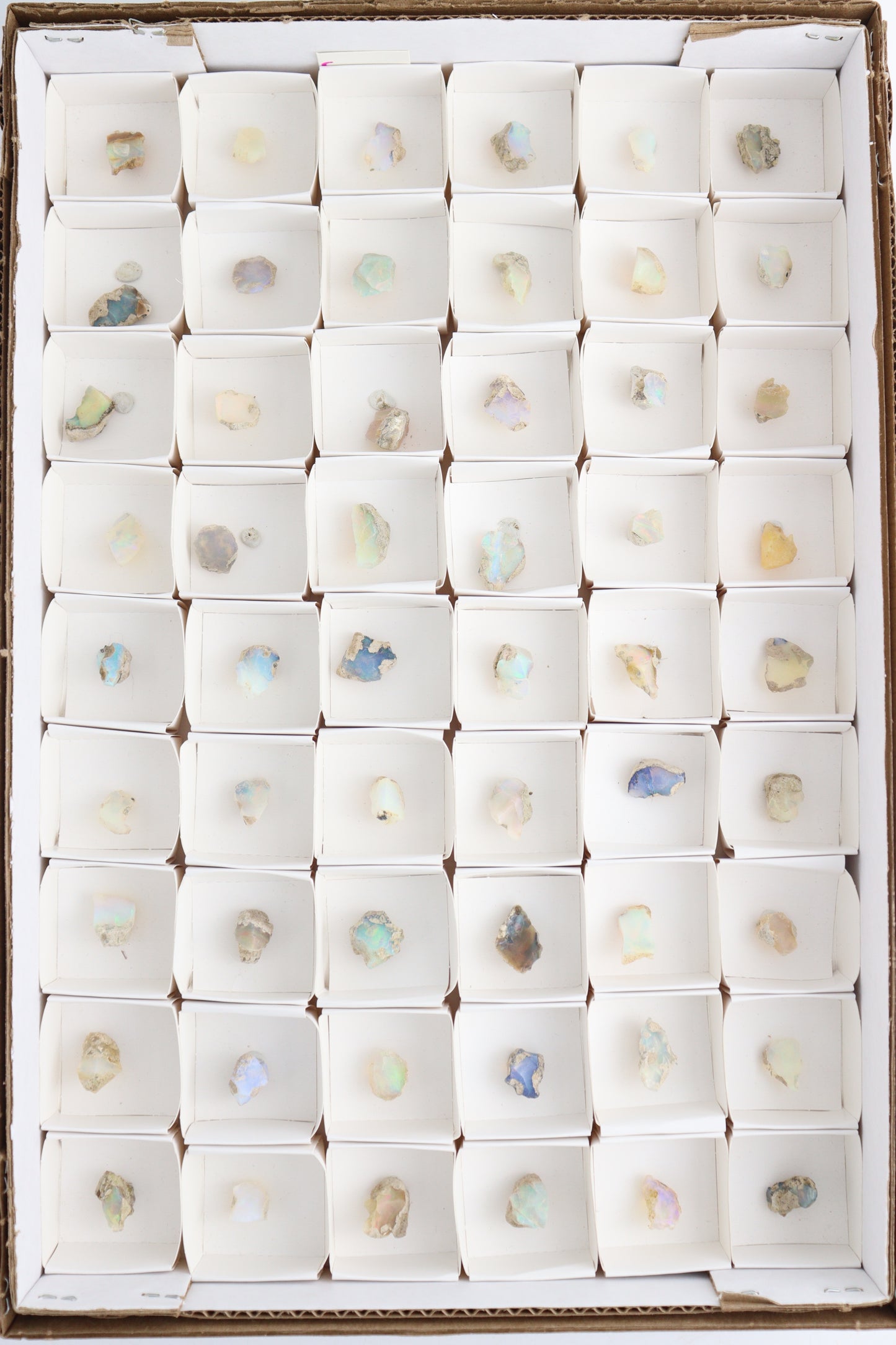 Ethiopian Opal Flat - Expert Wholesale and Supplier of Wholesale Crystals & Bulk Gemstones, ["ethiopian opal","Flats"]