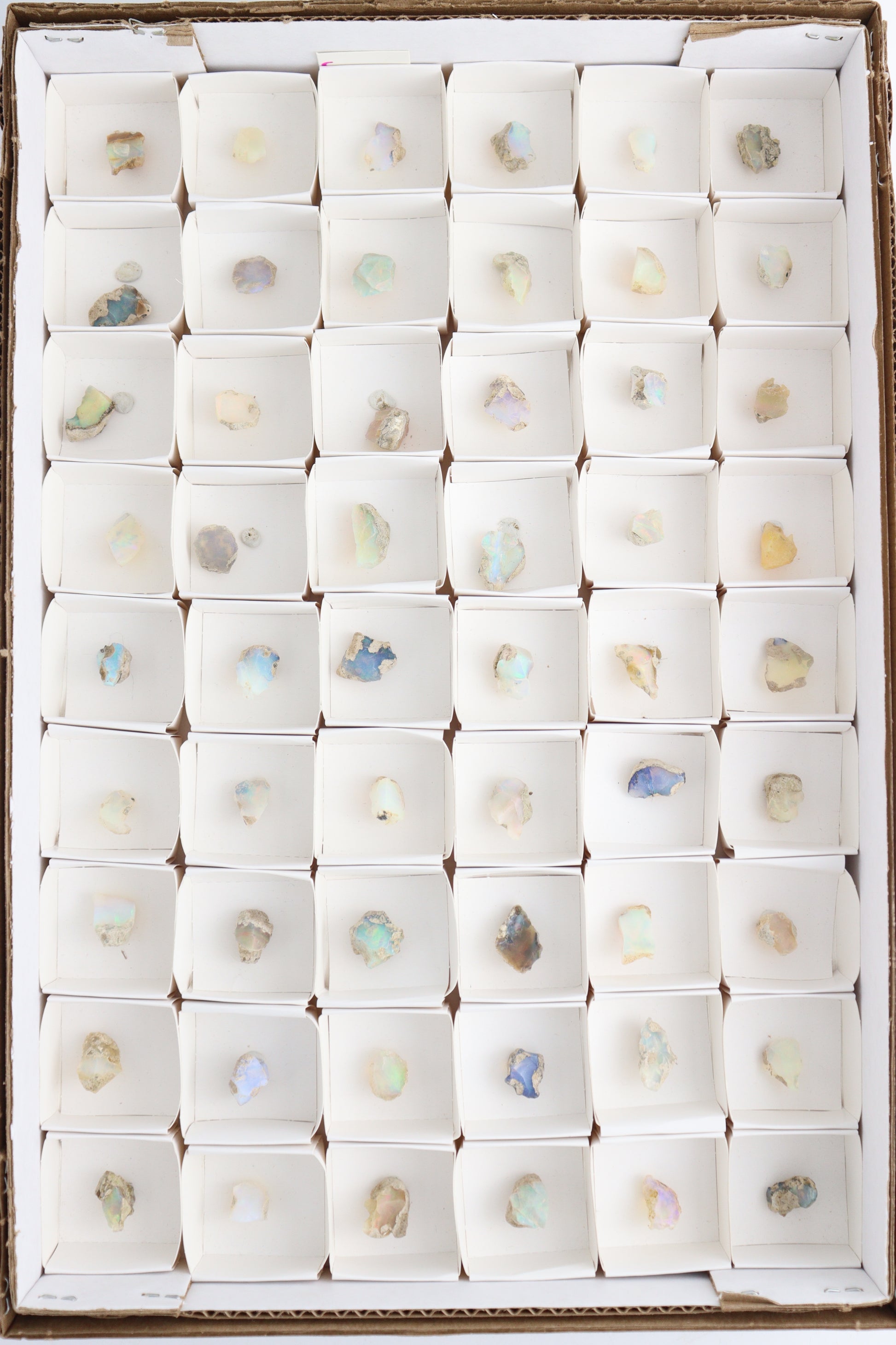 Ethiopian Opal Flat - Expert Wholesale and Supplier of Wholesale Crystals & Bulk Gemstones, ["ethiopian opal","Flats"]