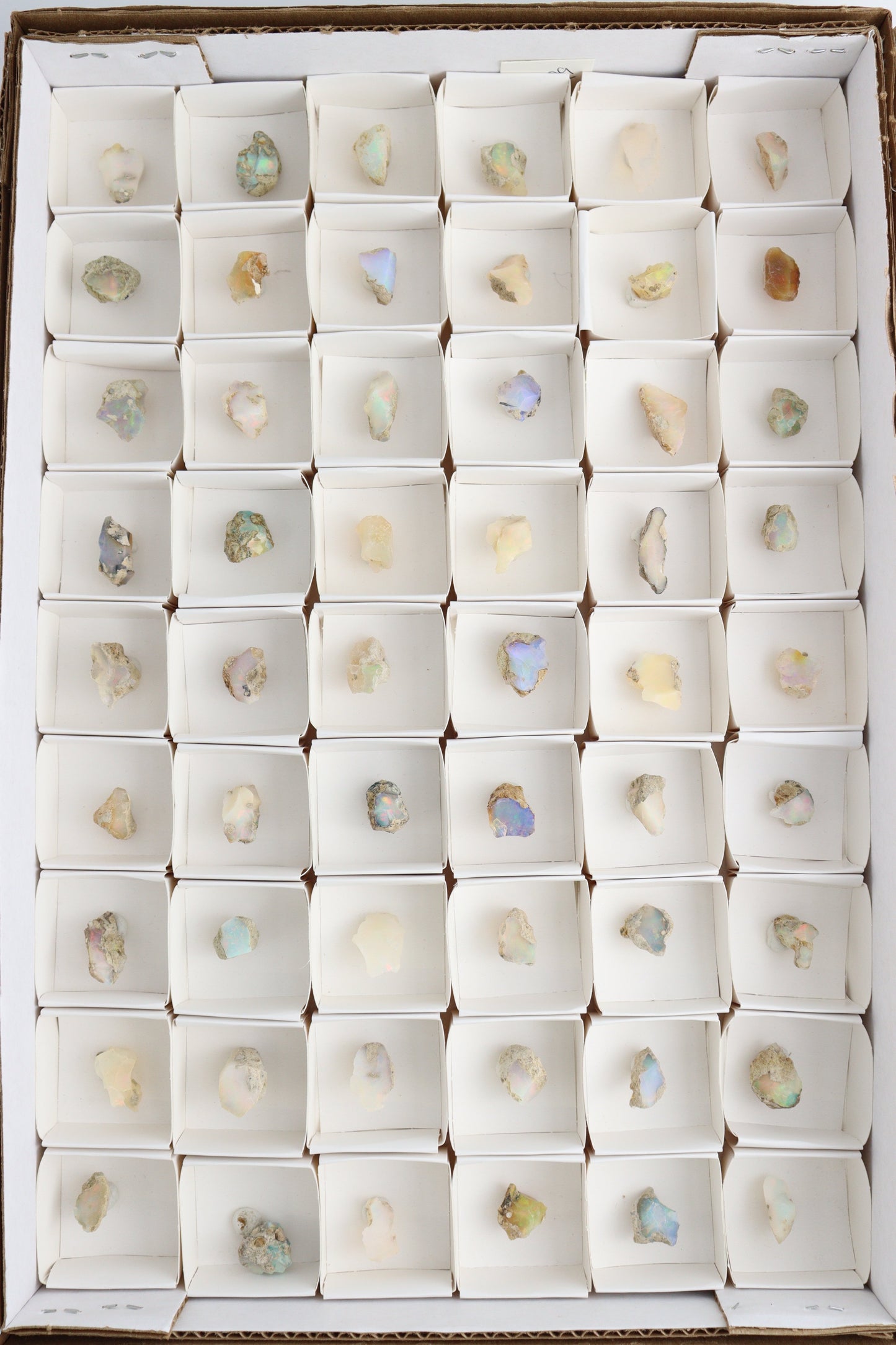 Ethiopian Opal Flat - Expert Supplier of Wholesale Crystals & Bulk Gemstones