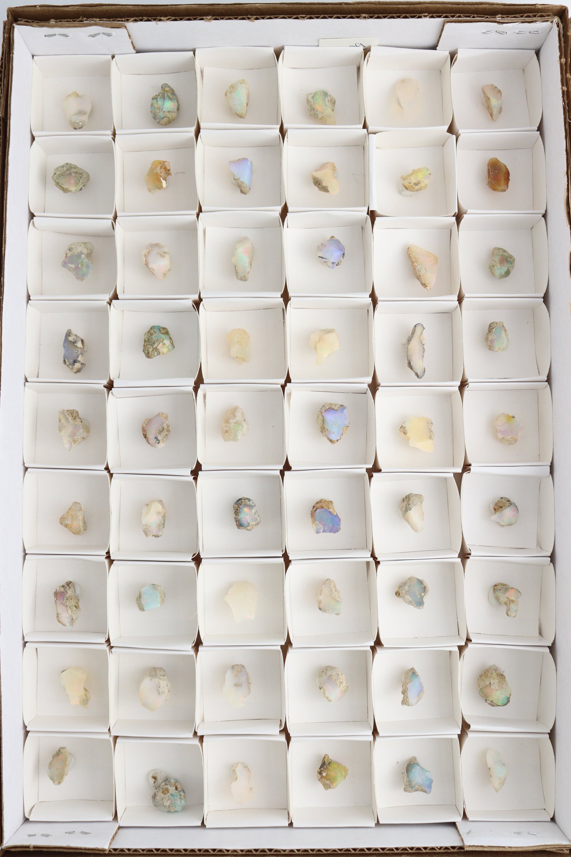Ethiopian Opal Flat - Expert Supplier of Wholesale Crystals & Bulk Gemstones
