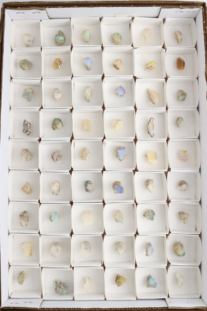 Ethiopian Opal Flat - Expert Supplier of Wholesale Crystals & Bulk Gemstones