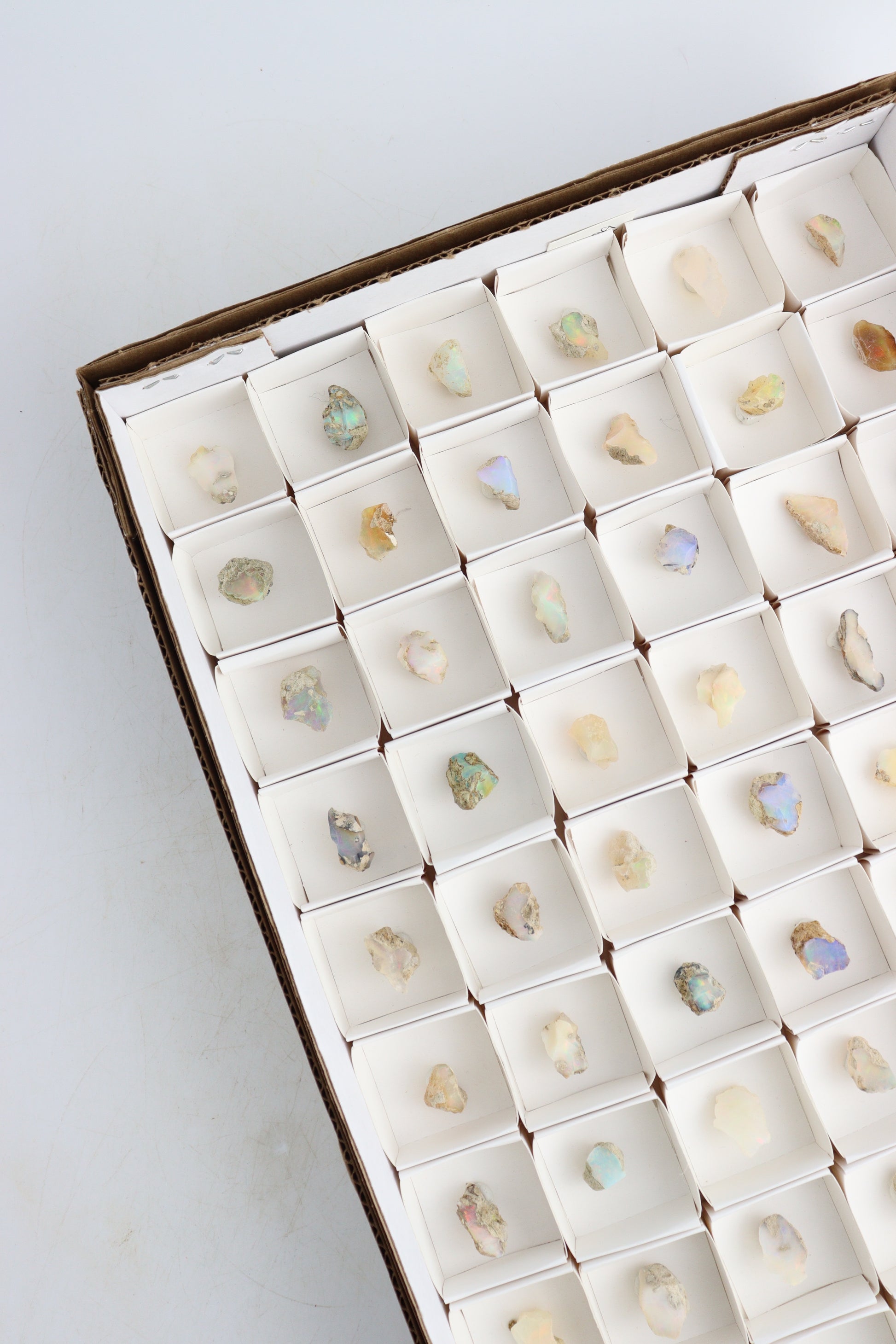 Ethiopian Opal Flat - Expert Supplier of Wholesale Crystals & Bulk Gemstones