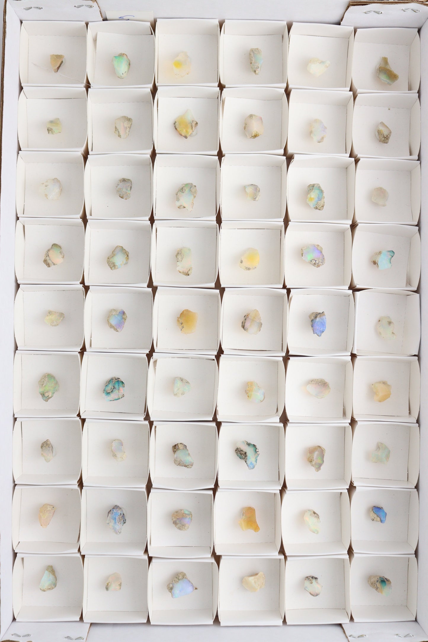 Ethiopian Opal Flats - Expert Supplier of Wholesale Crystals & Bulk Gemstones