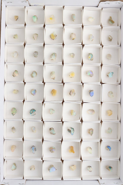 Ethiopian Opal Flats - Expert Supplier of Wholesale Crystals & Bulk Gemstones