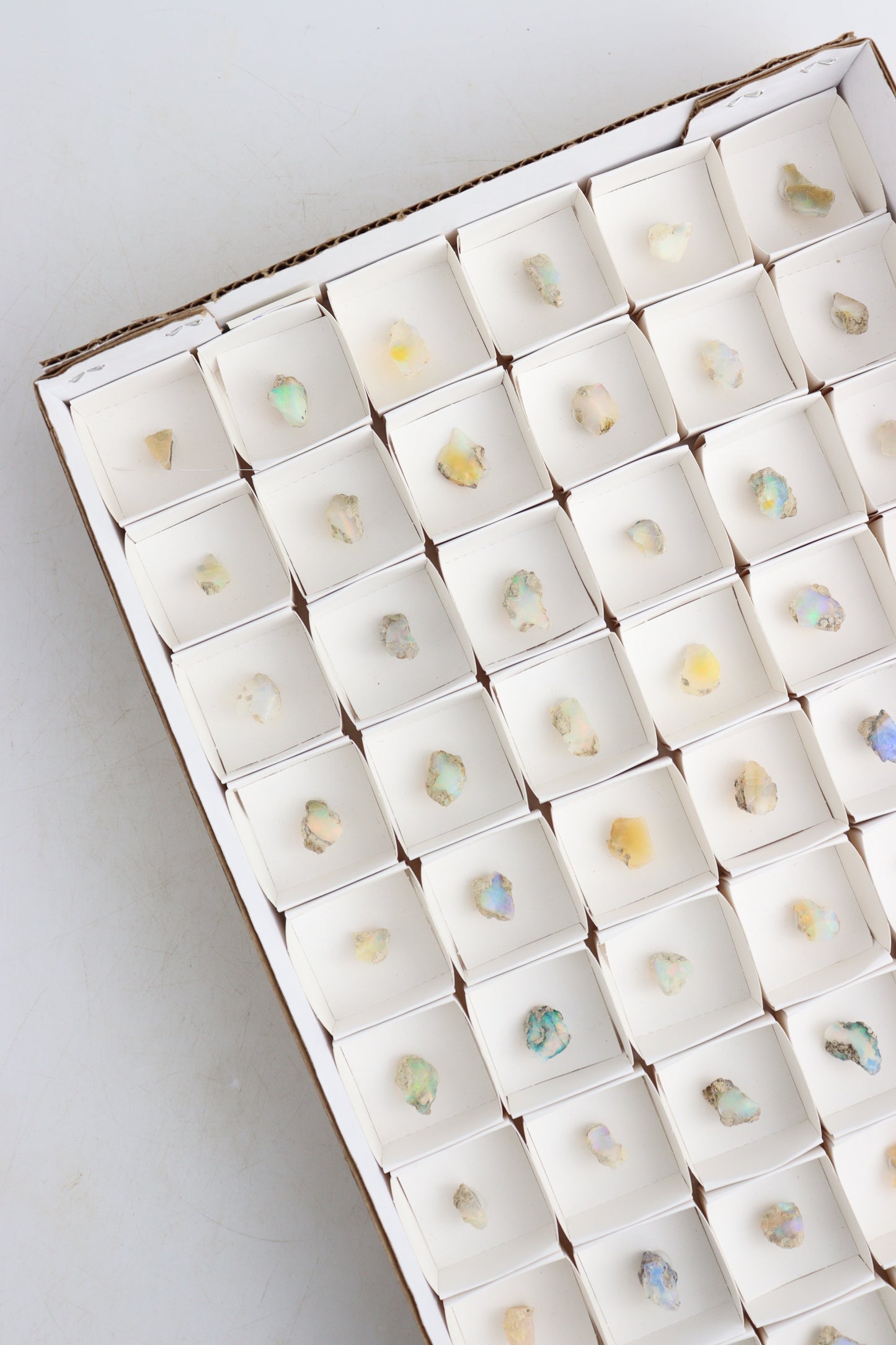 Ethiopian Opal Flats - Expert Supplier of Wholesale Crystals & Bulk Gemstones
