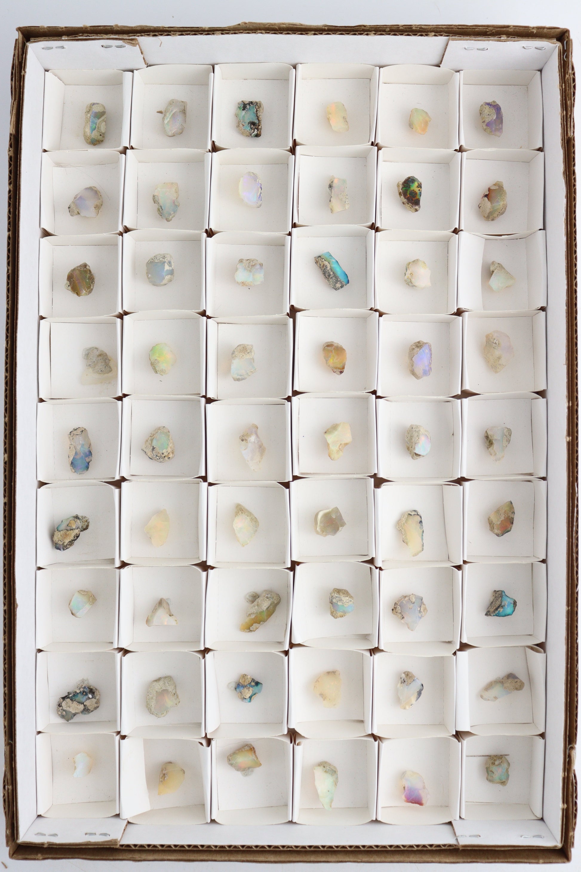 Ethiopian Opal Flat - Expert Supplier of Wholesale Crystals & Bulk Gemstones