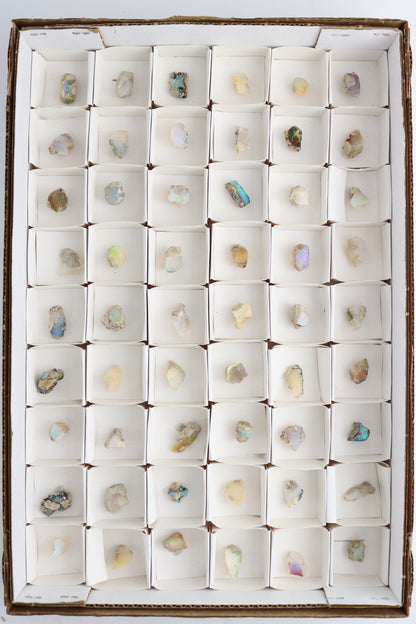 Ethiopian Opal Flat - Expert Supplier of Wholesale Crystals & Bulk Gemstones