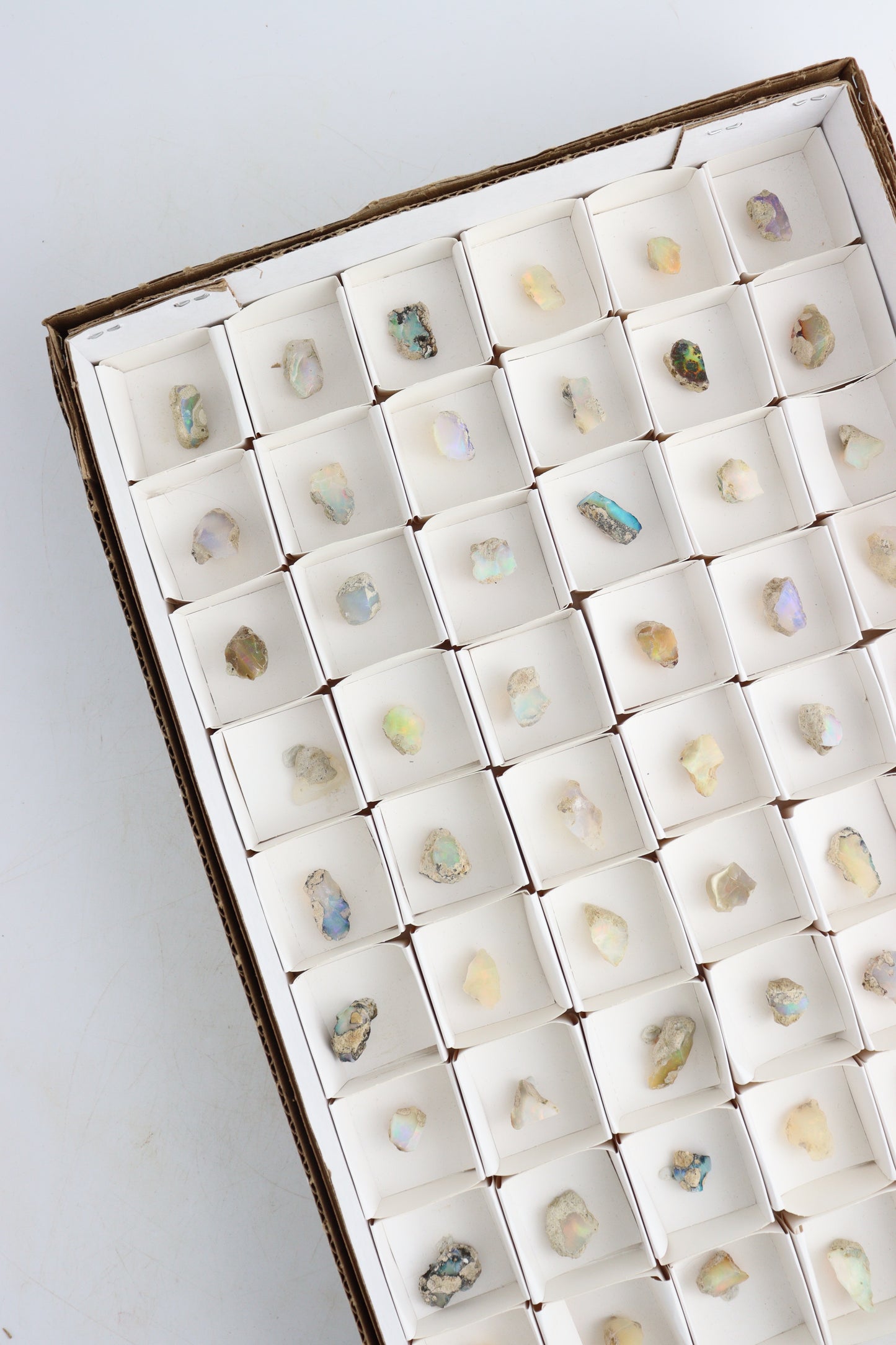 Ethiopian Opal Flat - Expert Supplier of Wholesale Crystals & Bulk Gemstones