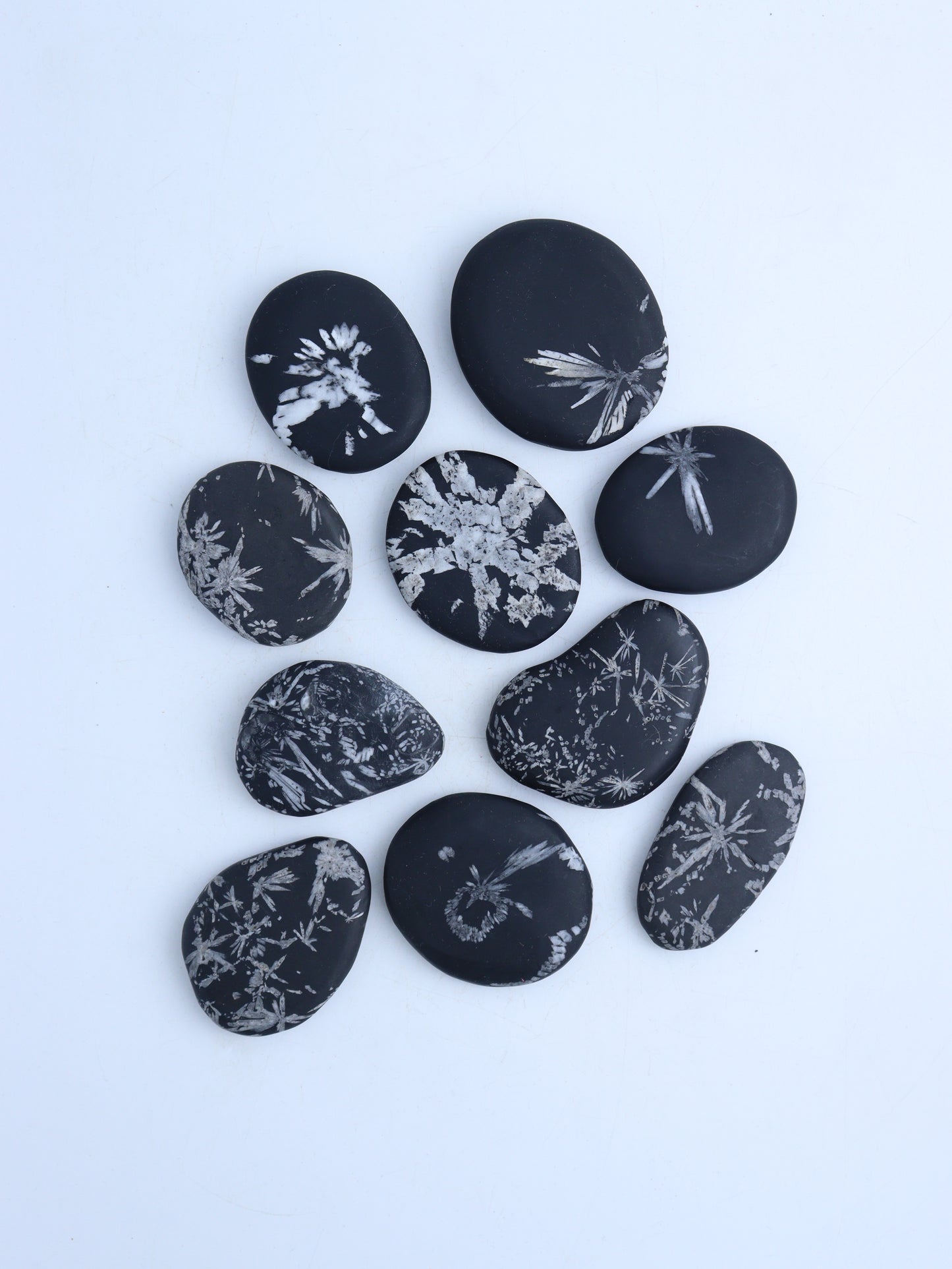 Chrysanthemum Stone Palm Stones - Expert Wholesale and Supplier of Wholesale Crystals & Bulk Gemstones, ["Fossil","Palm Stones"]