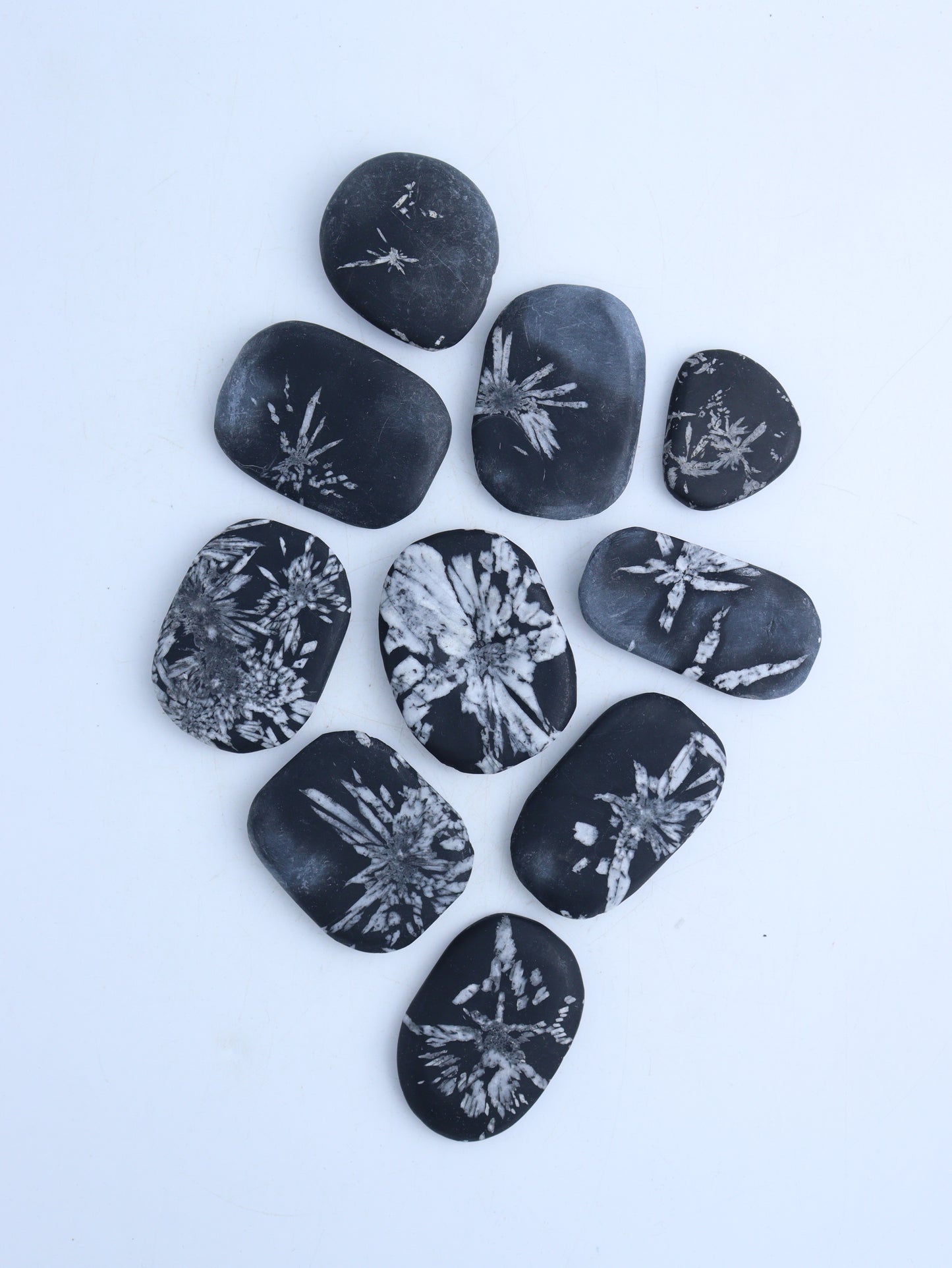 Chrysanthemum Stone Palm Stones - Expert Wholesale and Supplier of Wholesale Crystals & Bulk Gemstones, ["Fossil","Palm Stones"]