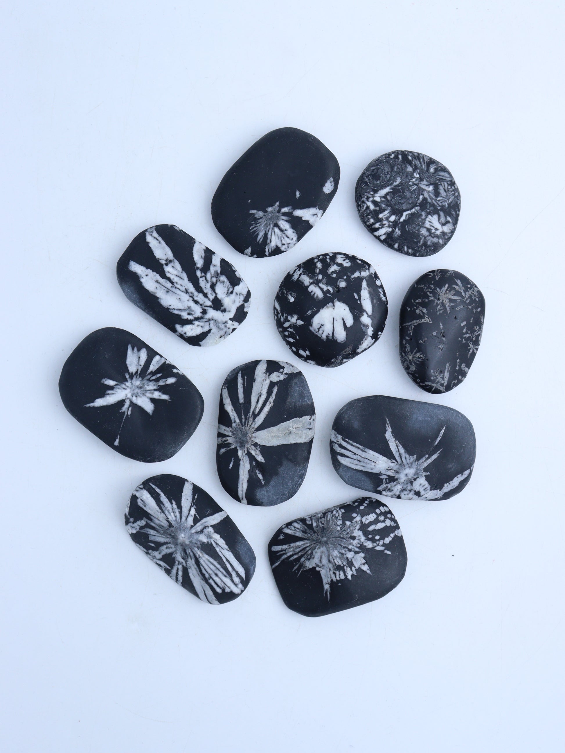 Chrysanthemum Stone Palm Stones - Expert Wholesale and Supplier of Wholesale Crystals & Bulk Gemstones, ["Fossil","Palm Stones"]