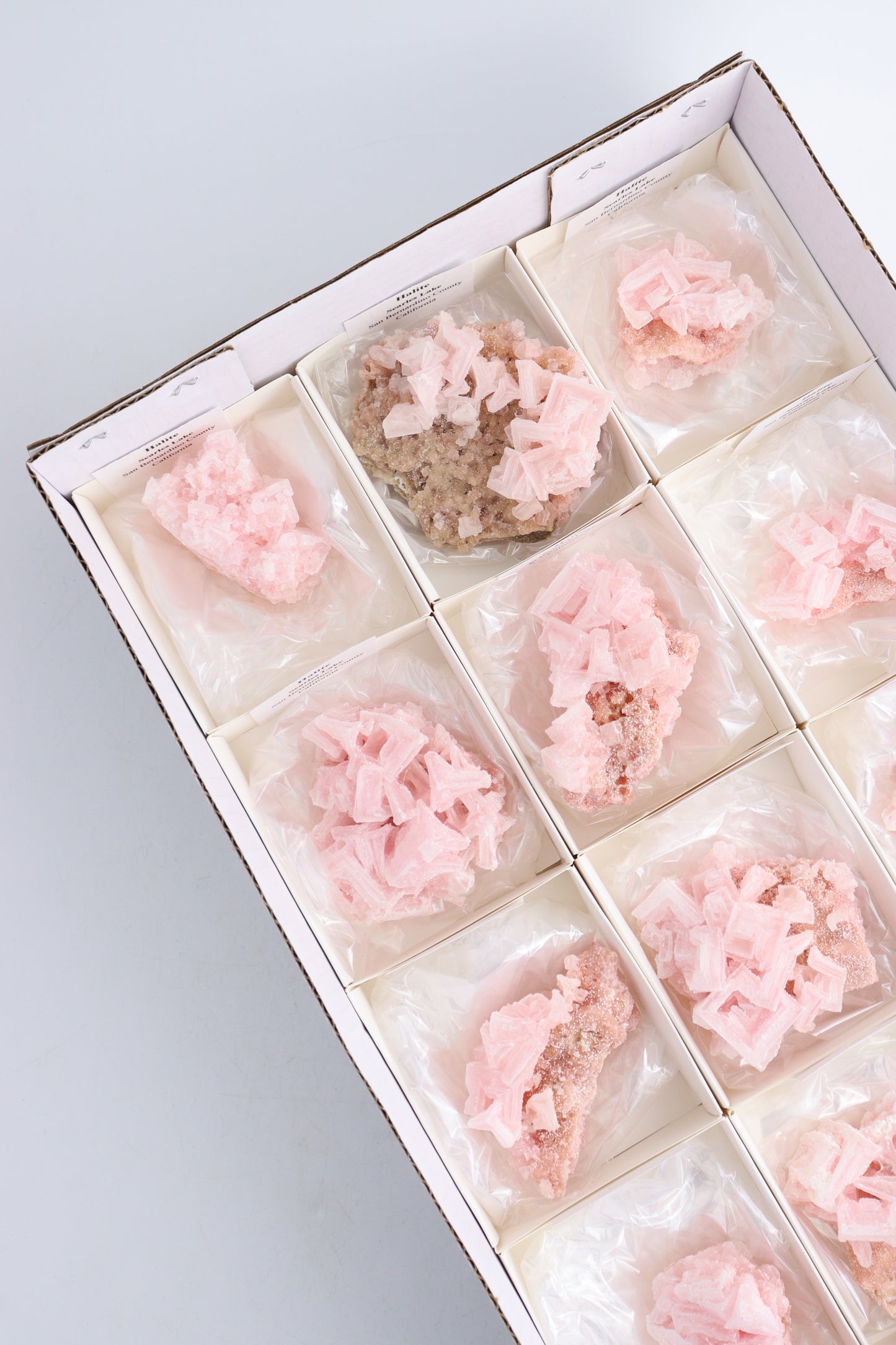 Halite Flat - Expert Wholesale and Supplier of Wholesale Crystals & Bulk Gemstones, ["California","Flats","Halite"]