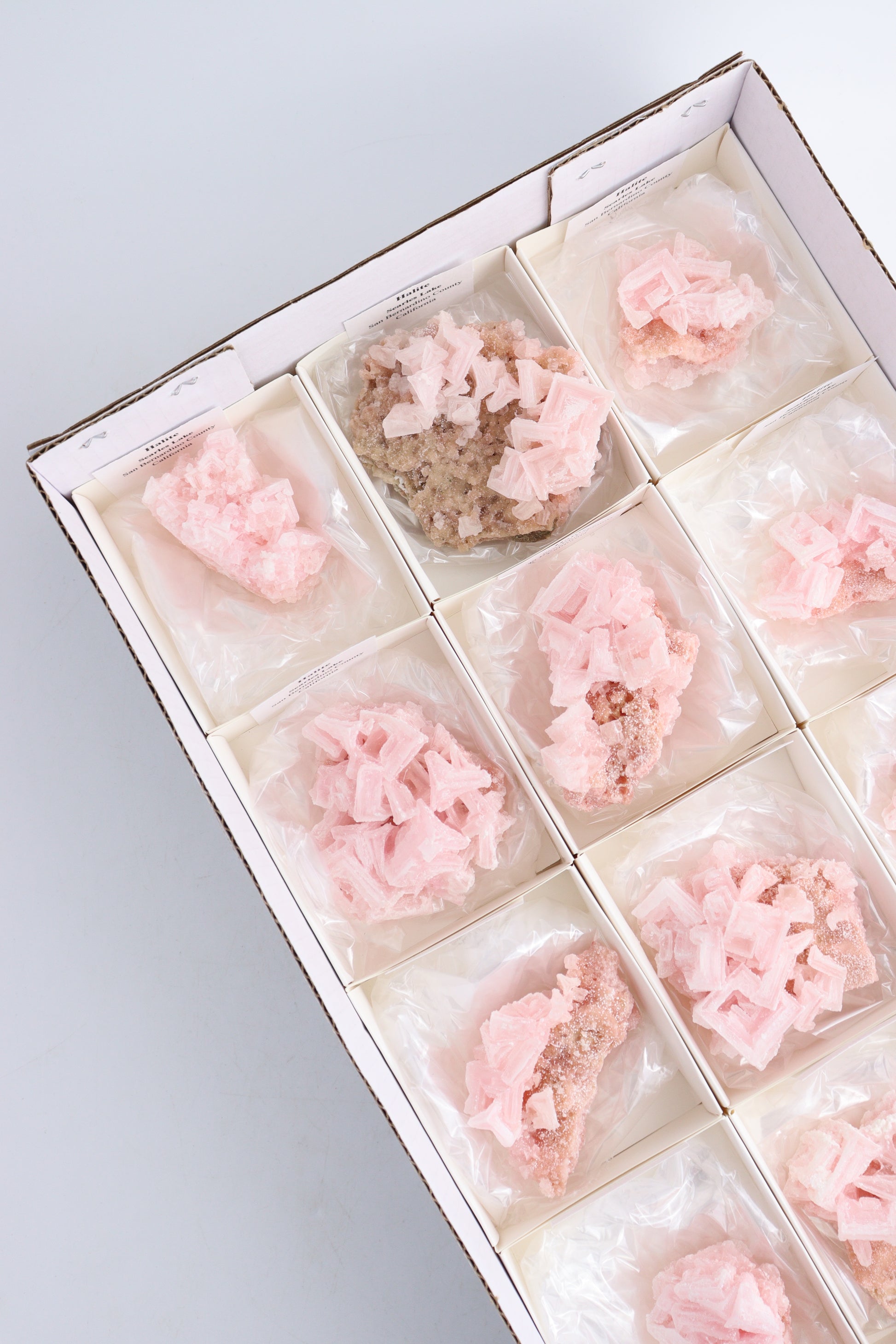 Halite Flat - Expert Wholesale and Supplier of Wholesale Crystals & Bulk Gemstones, ["California","Flats","Halite"]
