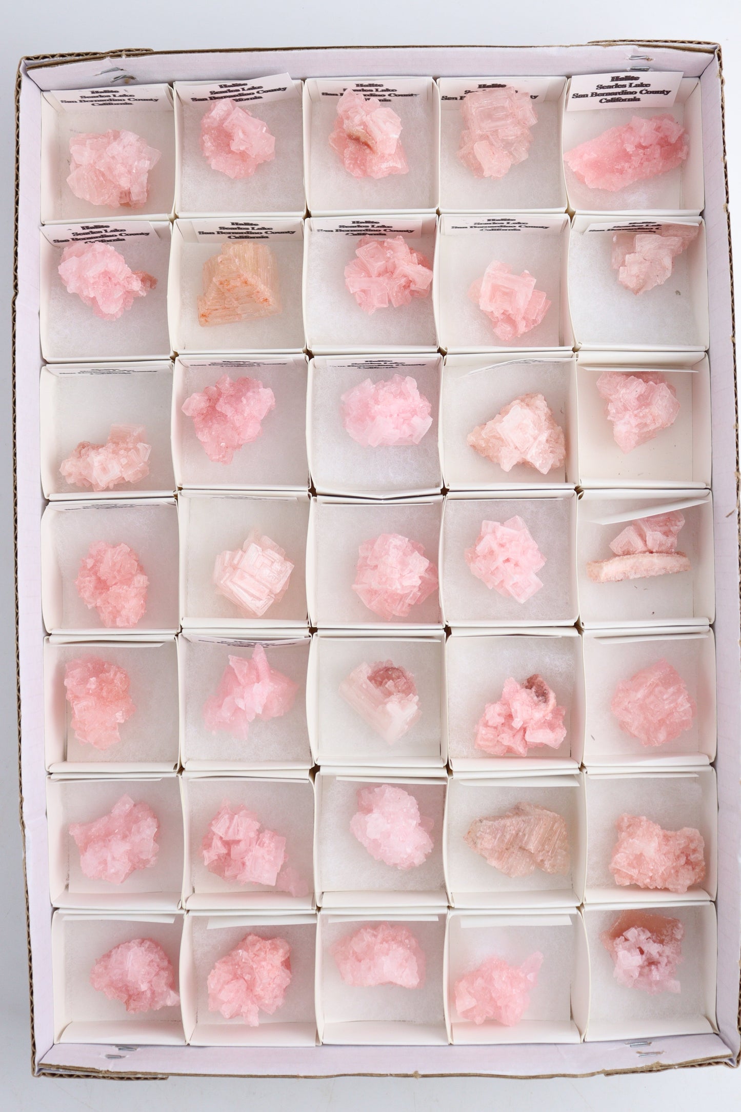 Pink Halite Cluster Flat - Expert Supplier of Wholesale Crystals & Bulk Gemstones