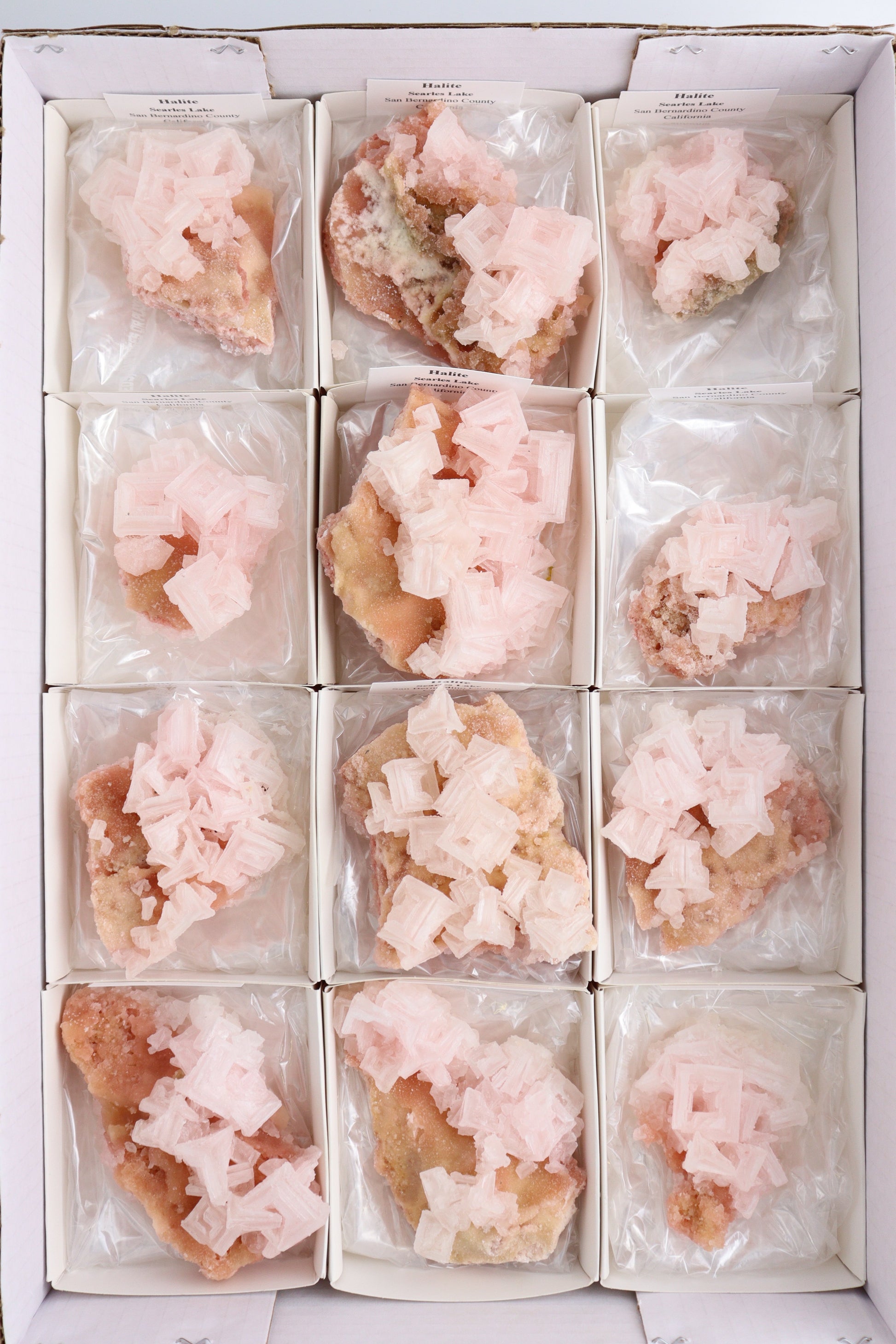 Halite Flat - Expert Supplier of Wholesale Crystals & Bulk Gemstones
