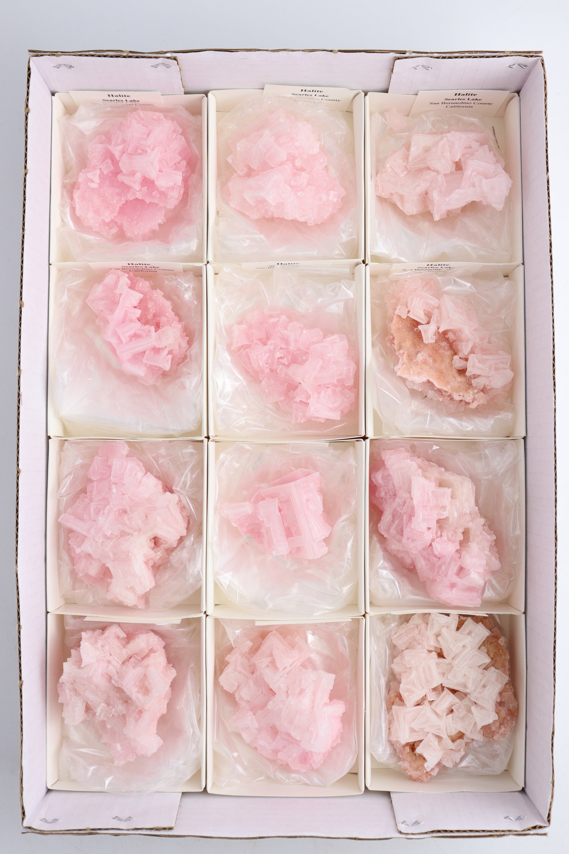 Pink Halite Flat - Expert Supplier of Wholesale Crystals & Bulk Gemstones