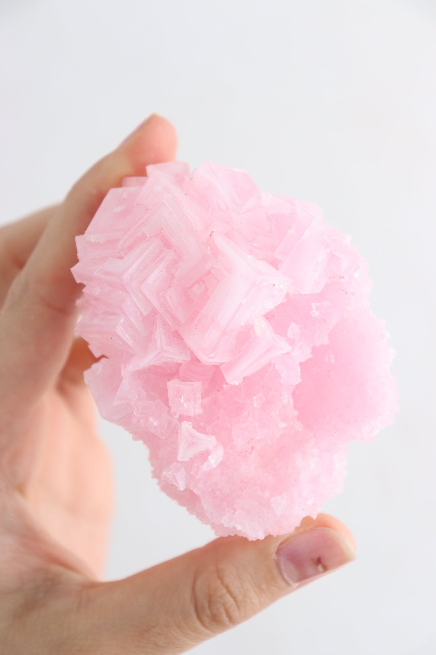 Pink Halite Flat - Expert Supplier of Wholesale Crystals & Bulk Gemstones