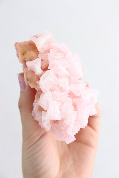 Pink Halite Flat - Expert Supplier of Wholesale Crystals & Bulk Gemstones